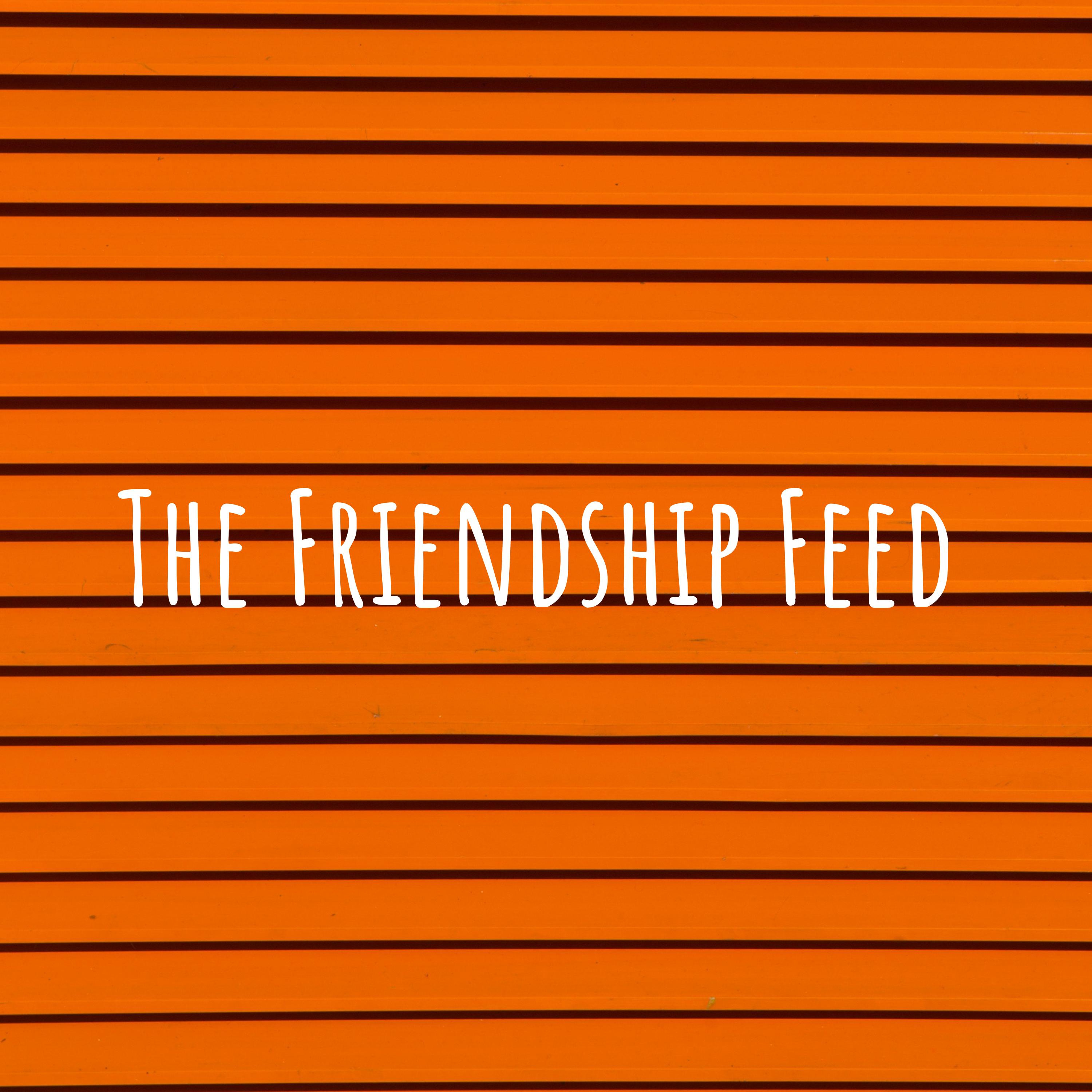 Friendship Feed