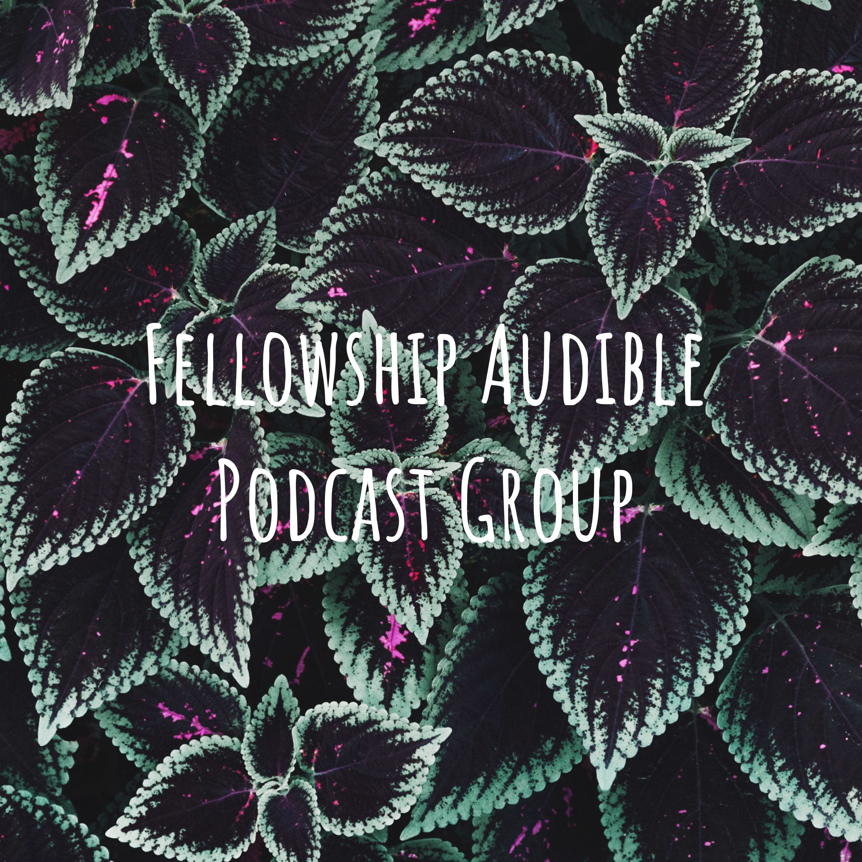 Fellowship Audio Podcast 19JAN19