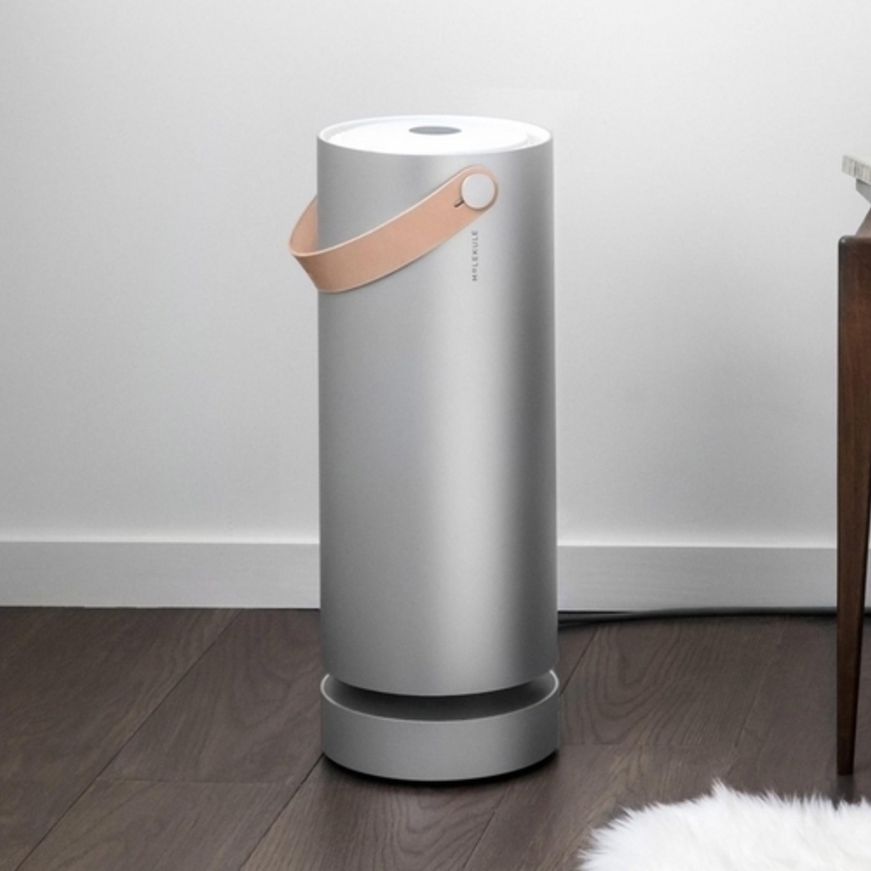 Molekule destroys indoor air pollutants. Take a listen to our conversation all about it.