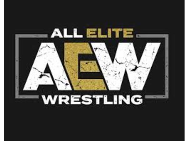 Wrestling Geeks Alliance! episode artwork