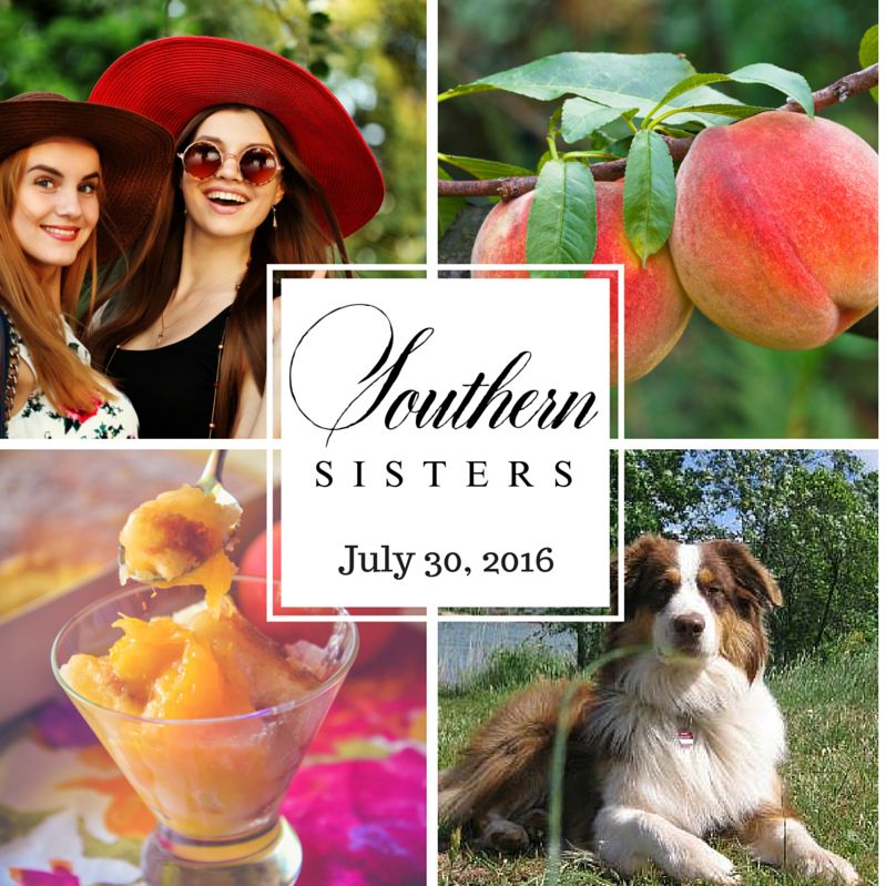 July 30, 2016 - Summer Heat, Peach Controversy, Recipes, Southern Narrative: Neighborhood Menace episode artwork