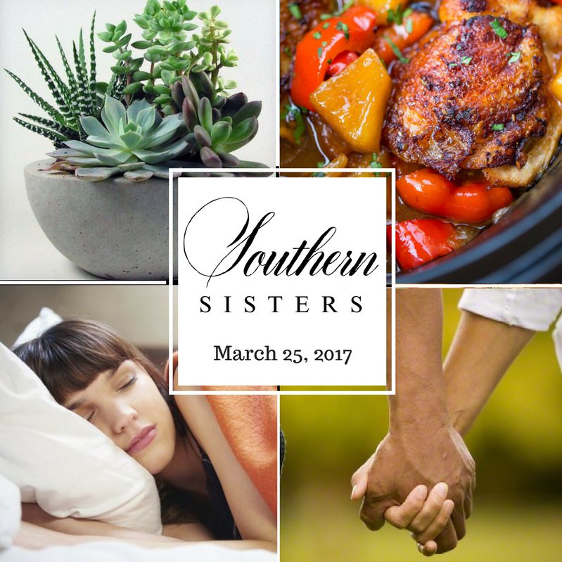 March 25, 2017 - Plants for the Non-Gardener, Spring Menu, Sleep Tight, Narrative: Wonderful Gift episode artwork