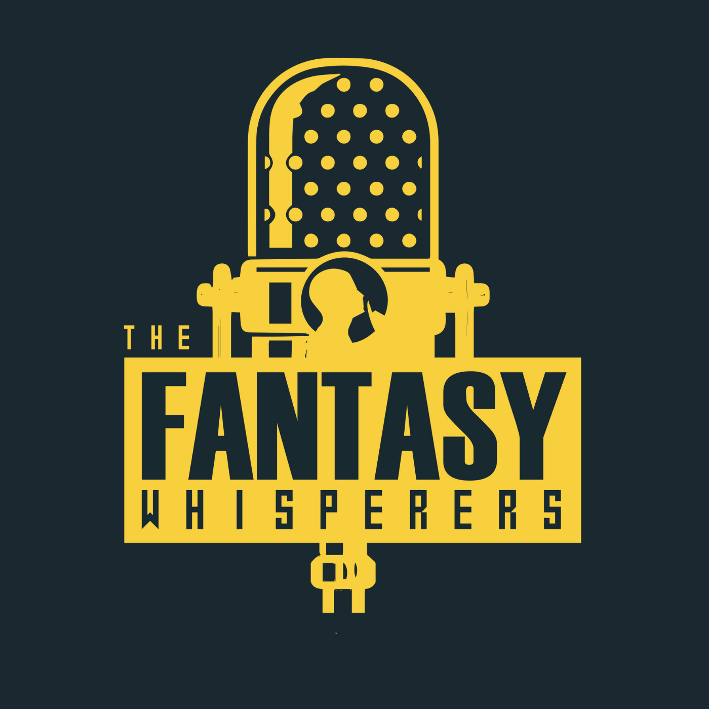 2019 NFL Fantasy Football 12 Team 1/2 PPR Mock Draft on Sleeperbot episode artwork