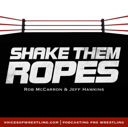 170. WWE SummerSlam Review, Raw vs SD, The Bet, Freelance