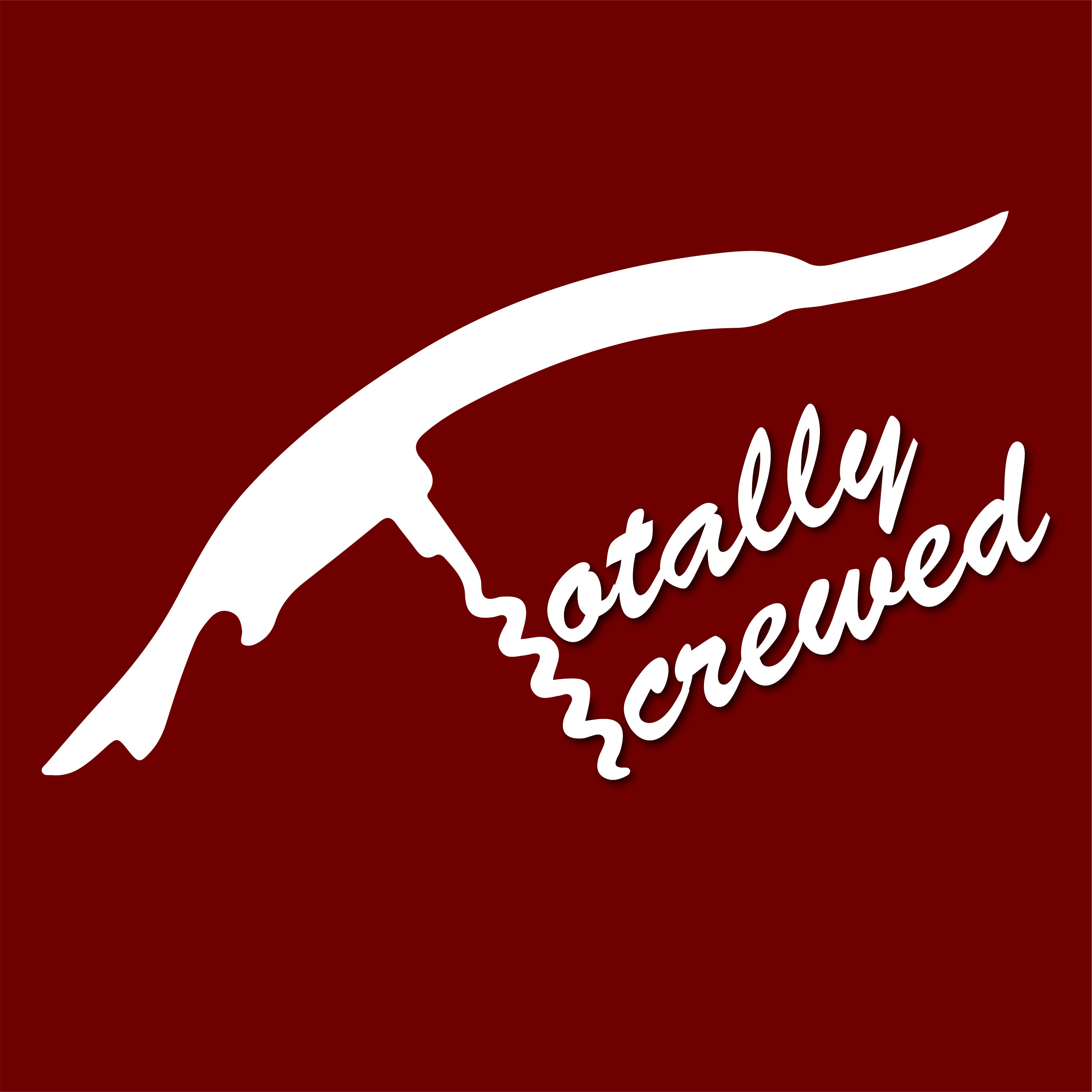 A "Qualyt" Unboxing