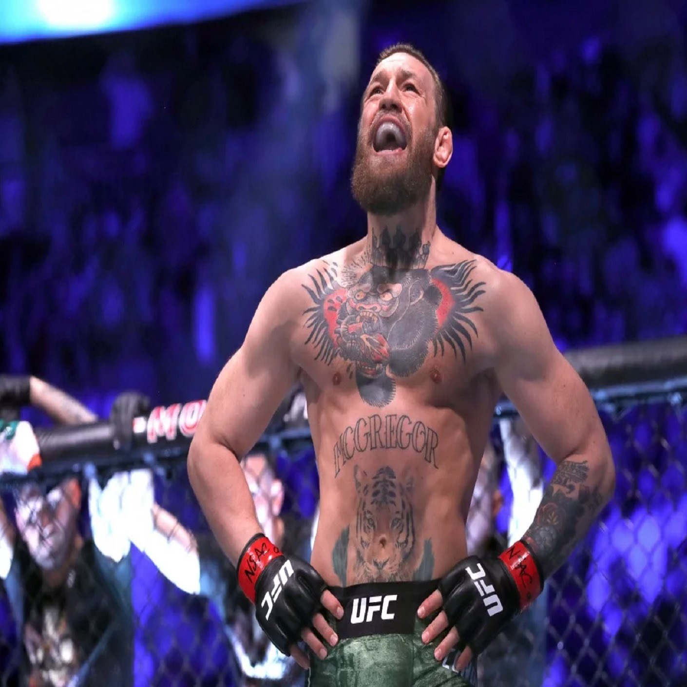 Wrestling Geeks Alliance - UFC and Wednesday Night Wars episode artwork