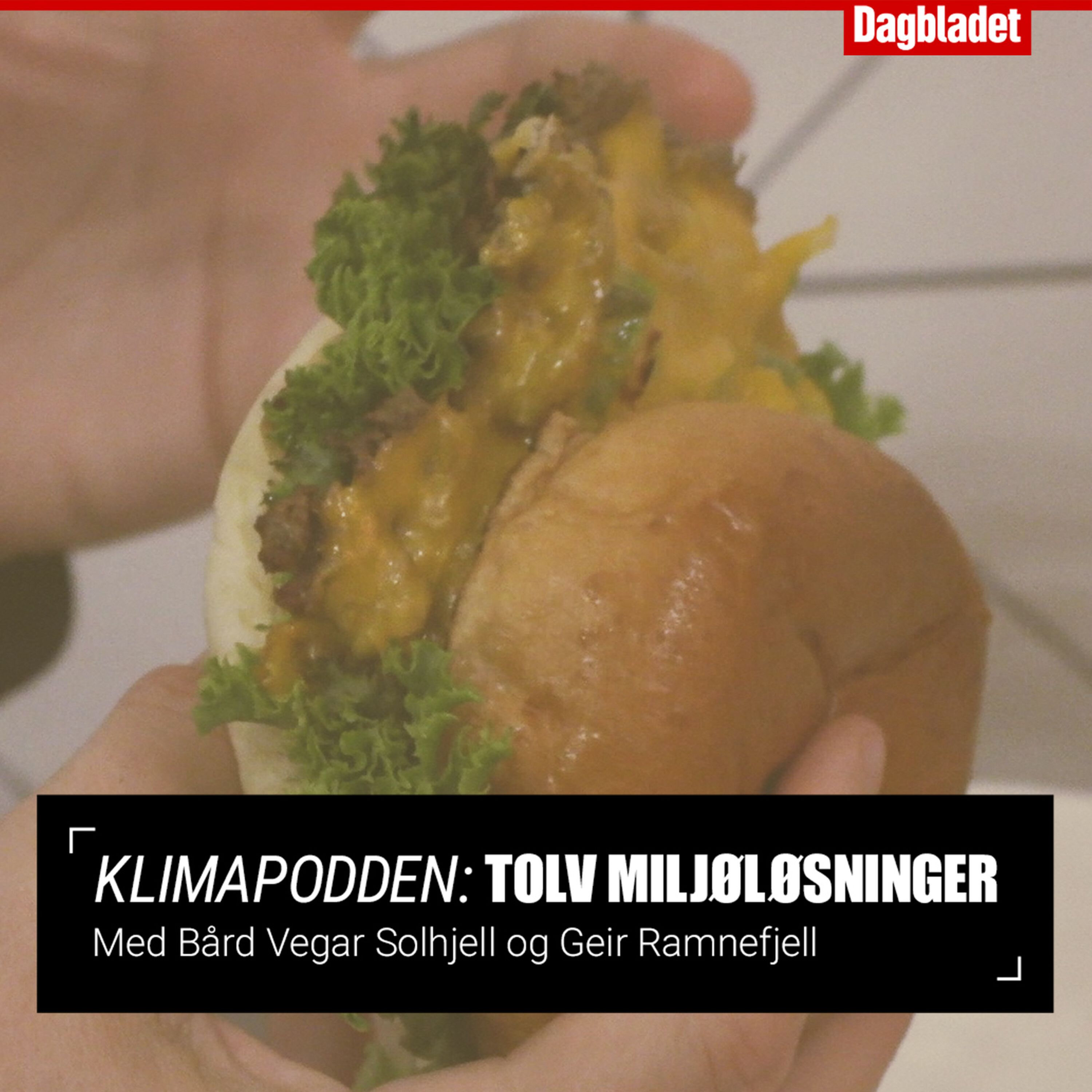 #8: Gjøres dette, kan vi «droppe» andre klimaløsninger