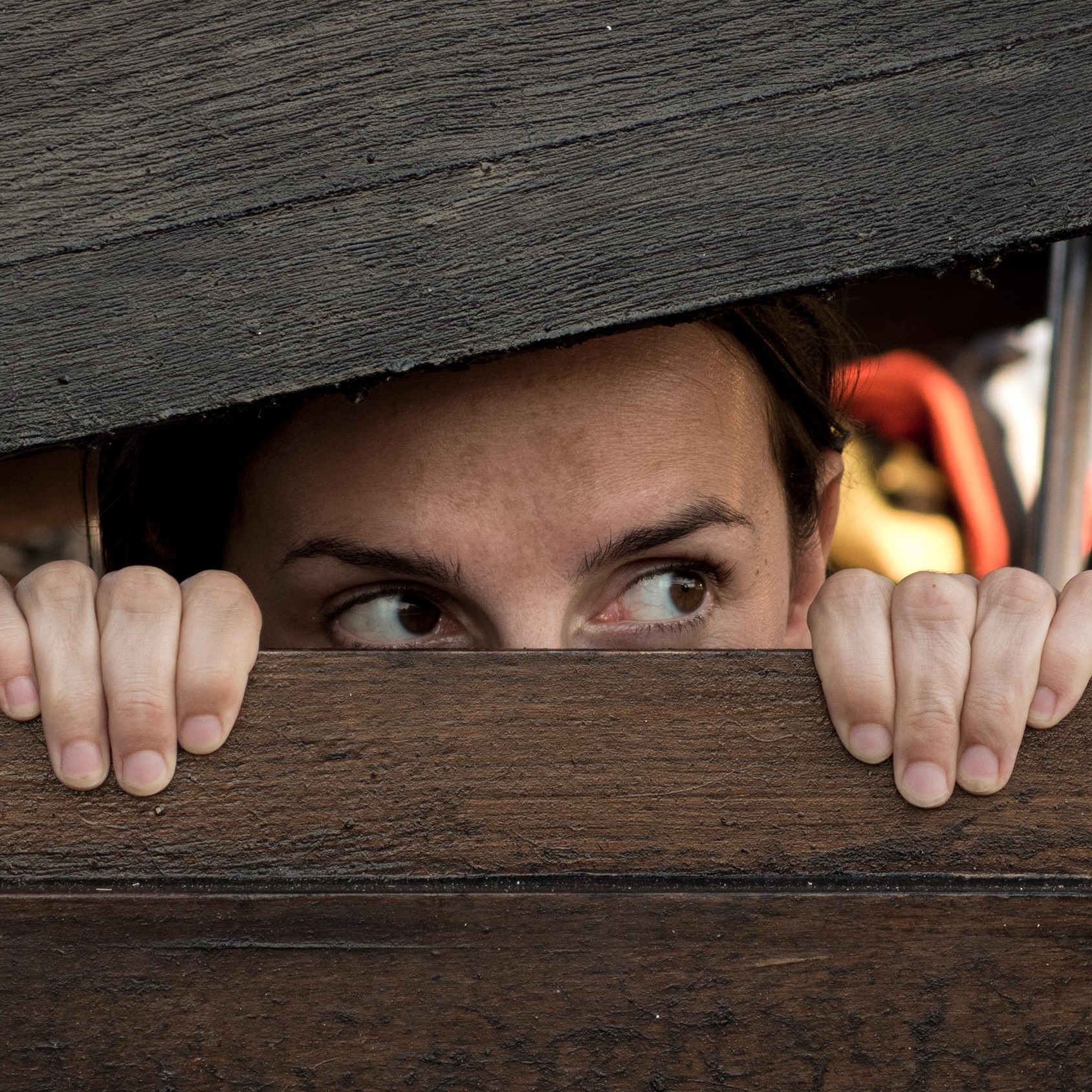 How to Learn (and Respond to) Your Fear System