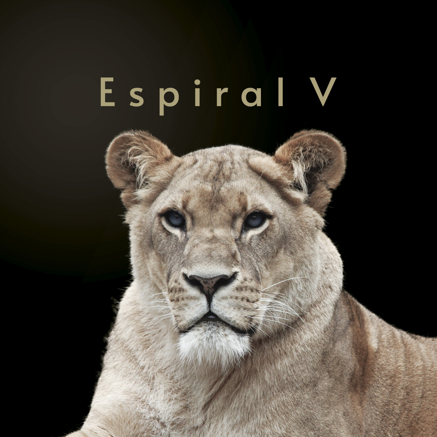 Audio Player Image