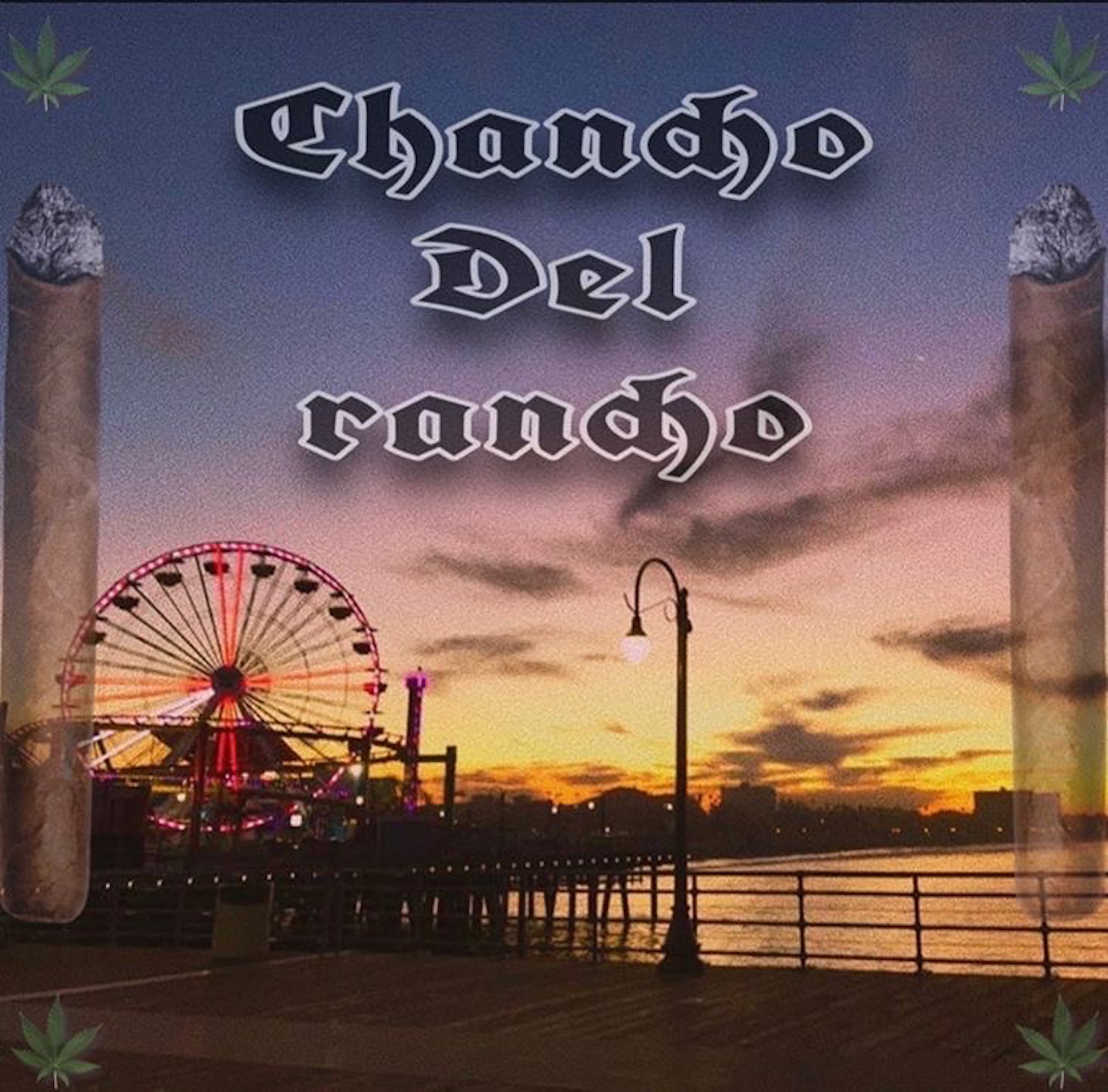Audio Player Image