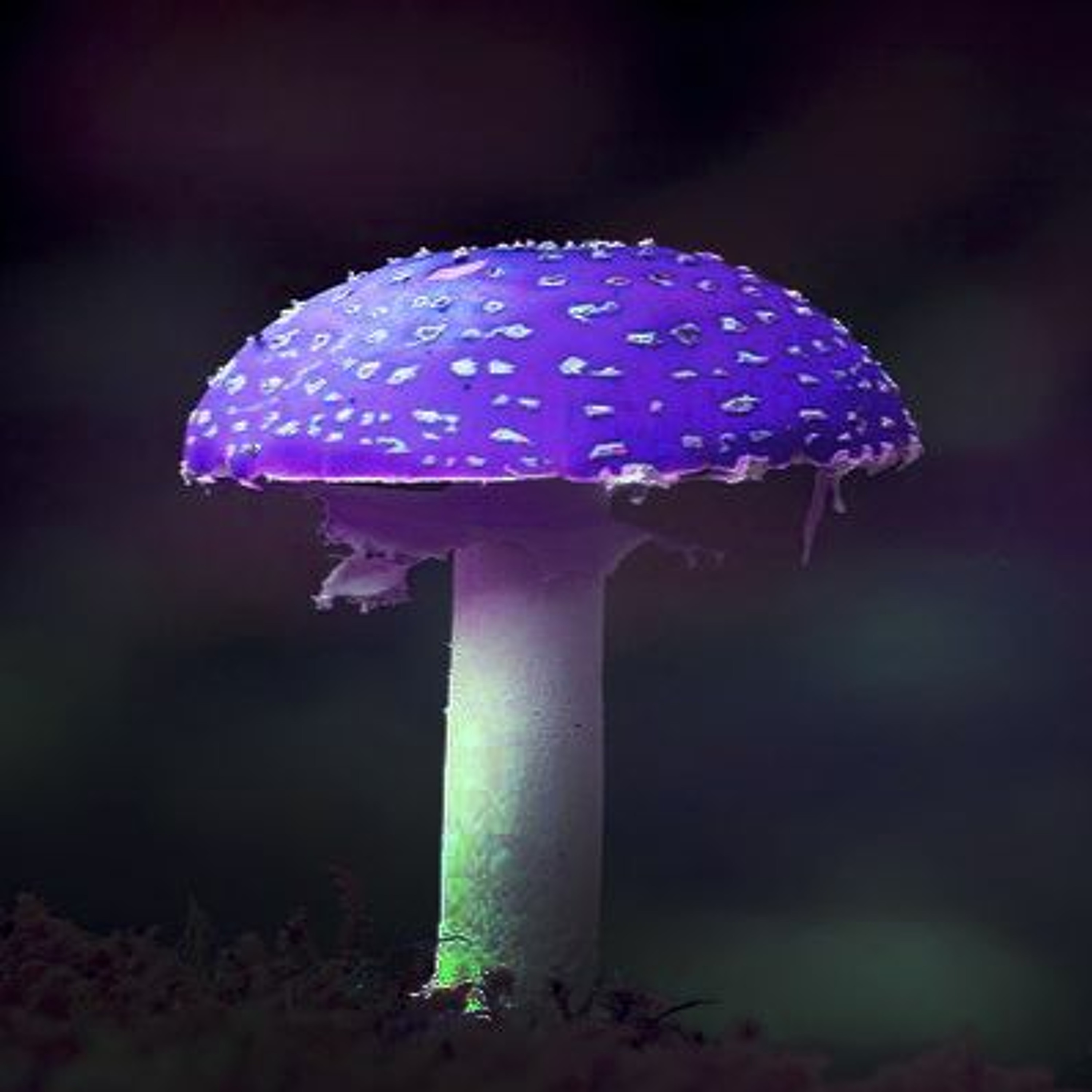 Stories Fables Ghostly Tales