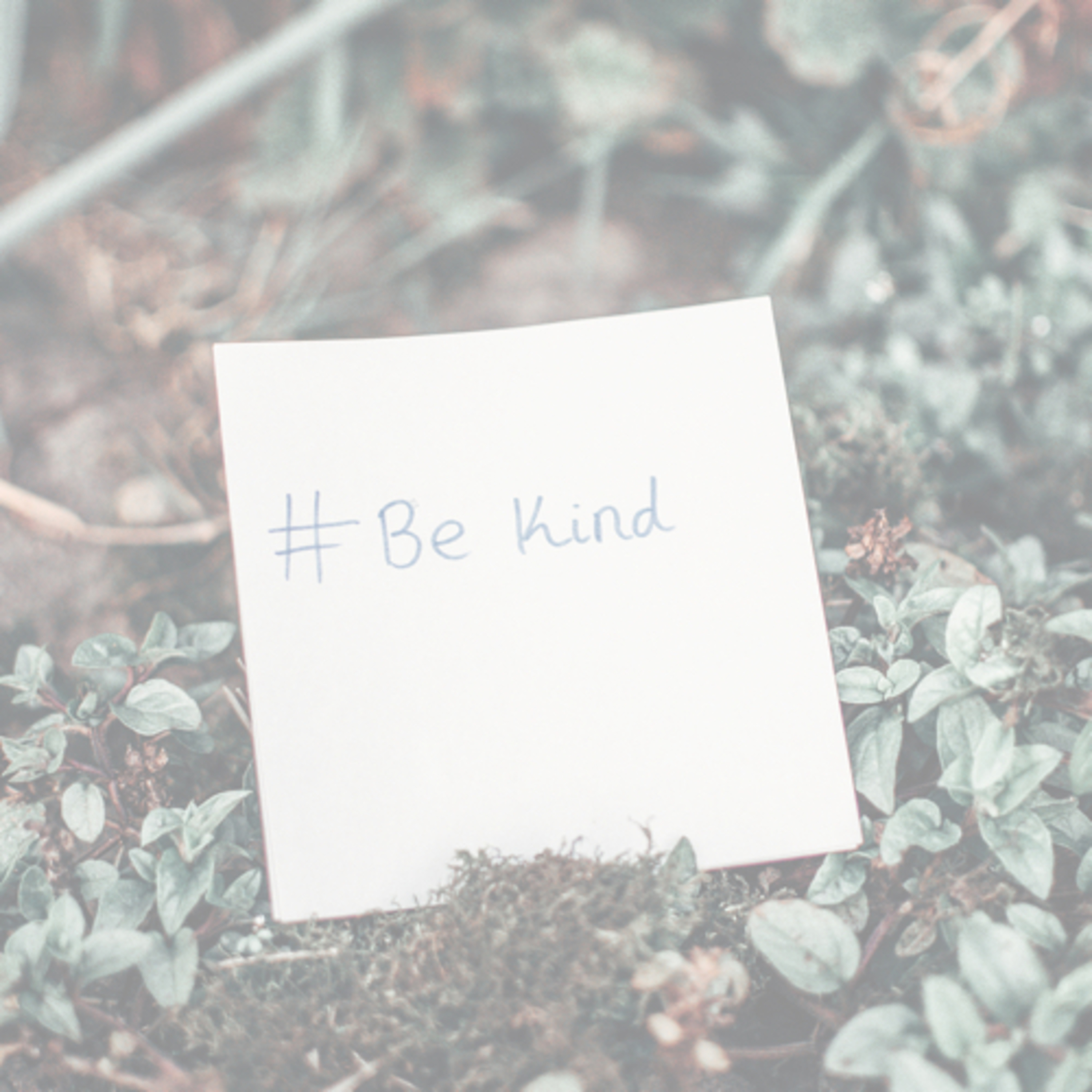 Kindness Goes a Far Way