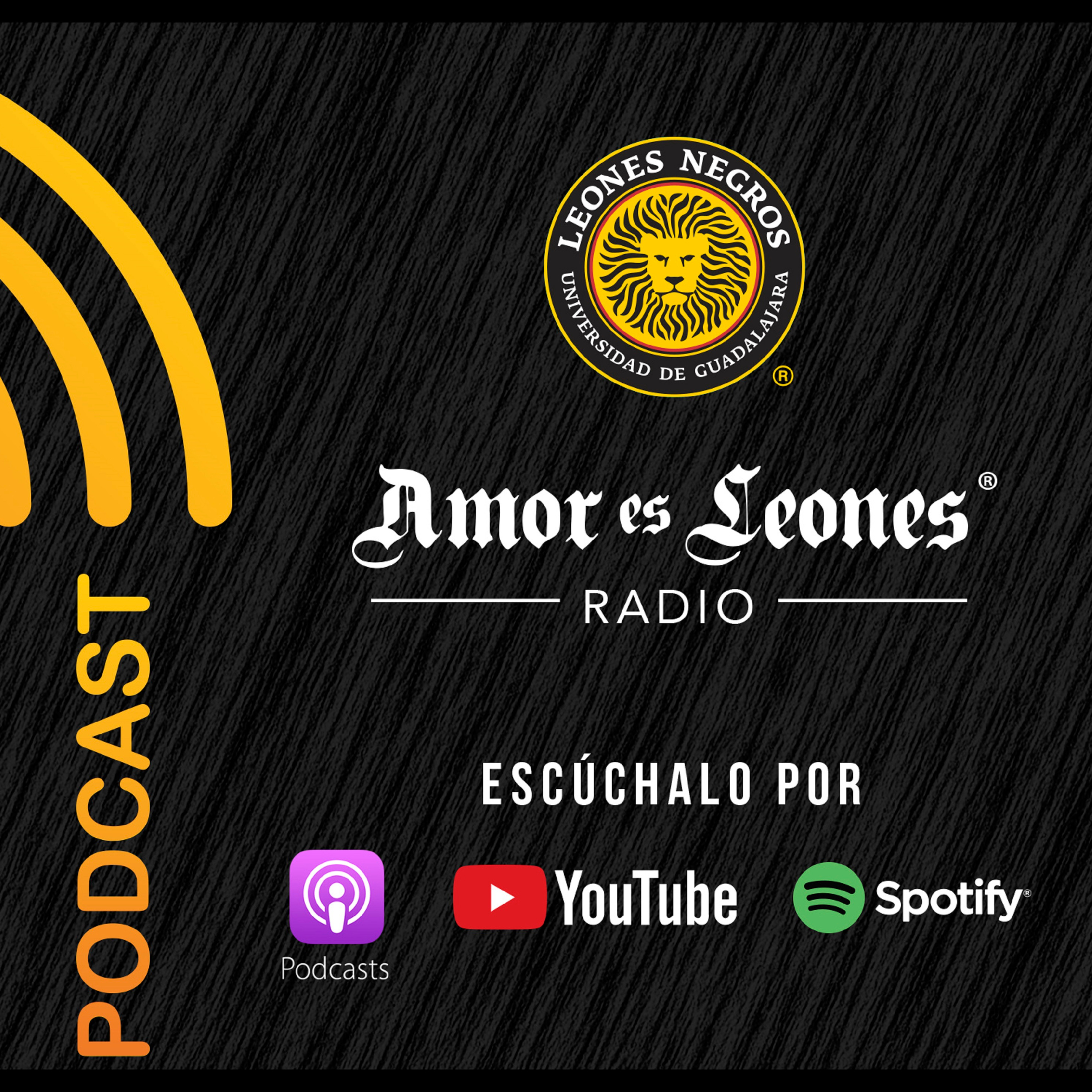 Portada de AMOR ES LEONES