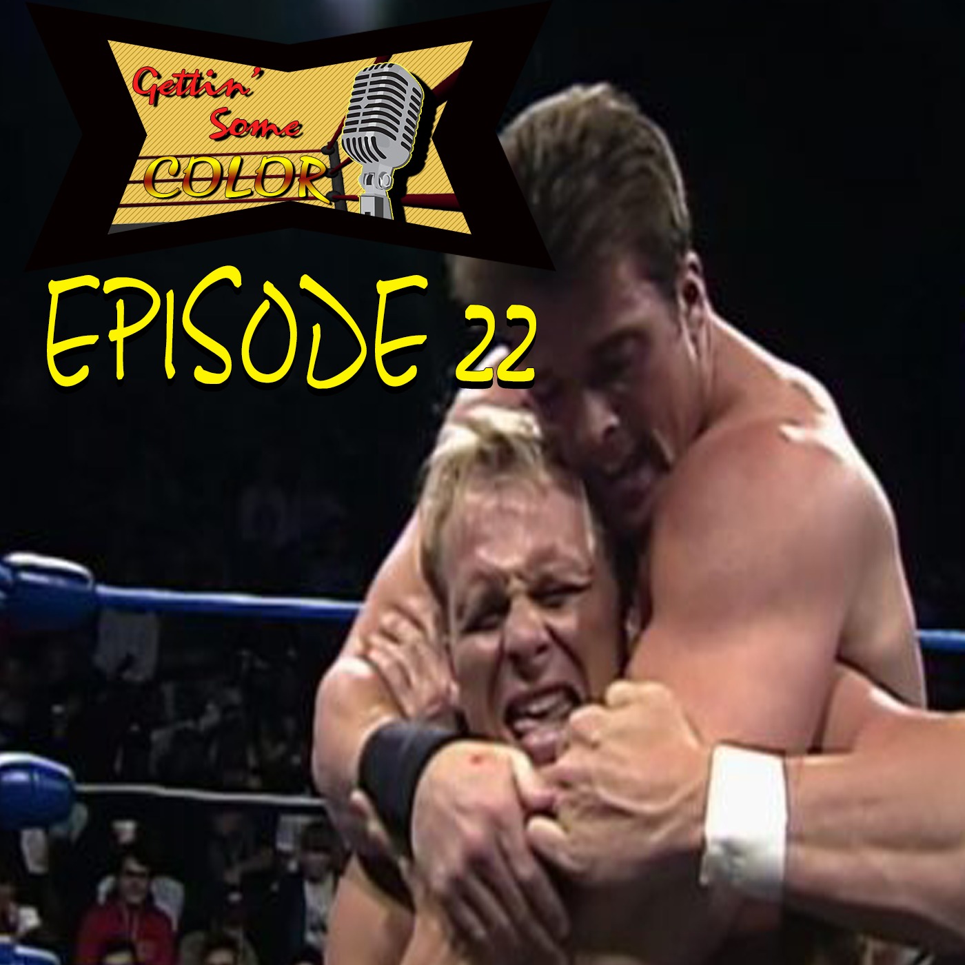 WCW Saturday Night Feb 13th 1993/WWF RAW Feb 15th 1993(Gettin' Some Color Epi.22) episode artwork