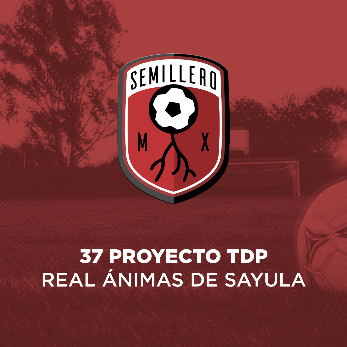 37 Proyecto TDP: Real Ánimas de Sayula episode artwork