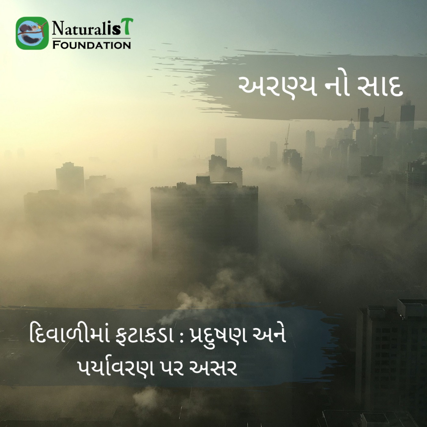 S1E17: દિવાળીમાં ફટાકડા : પ્રદુષણ અને પર્યાવરણ પર અસર