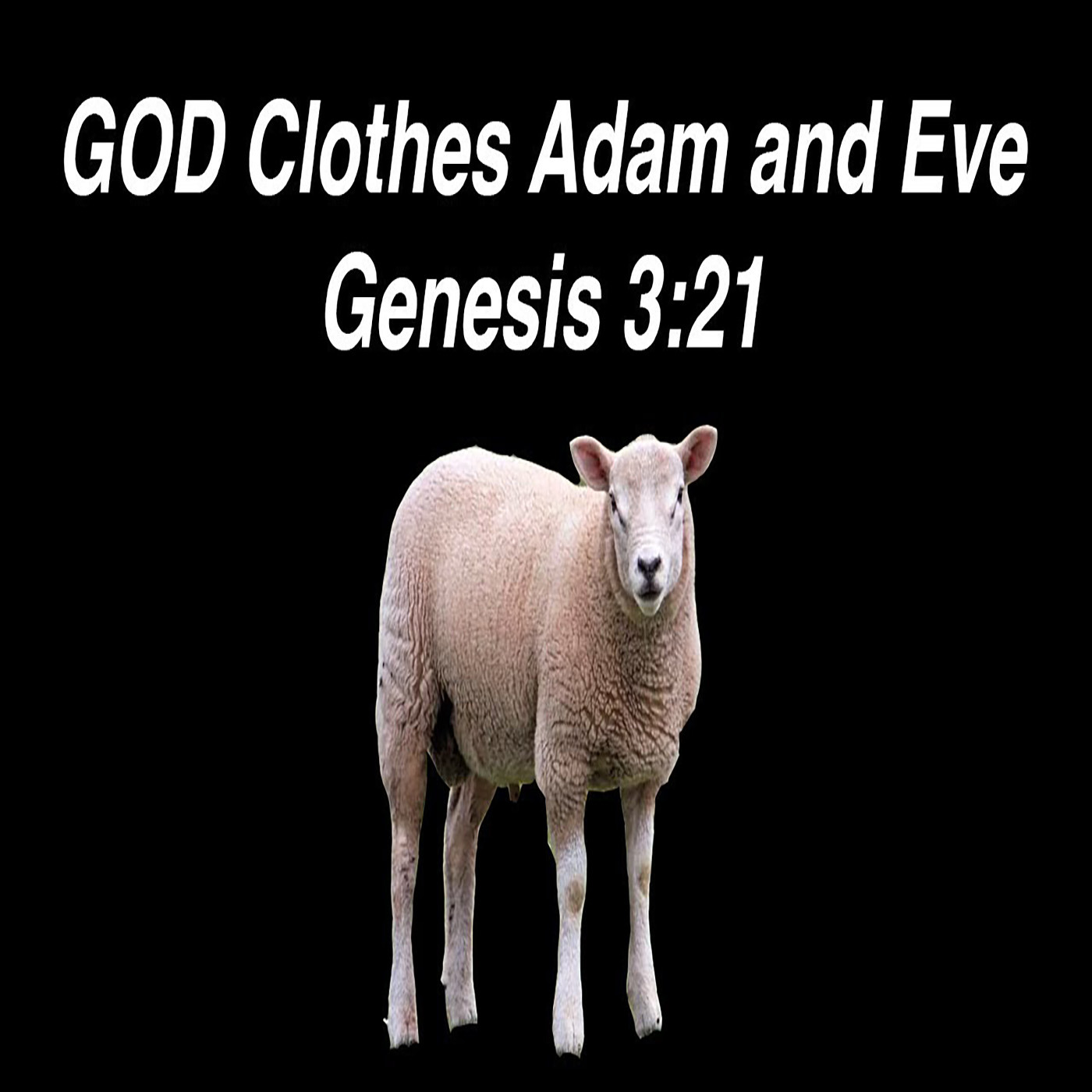 God makes coverings for Adam and Eve | Genesis 3:21 (Hebrew Text Study) episode artwork