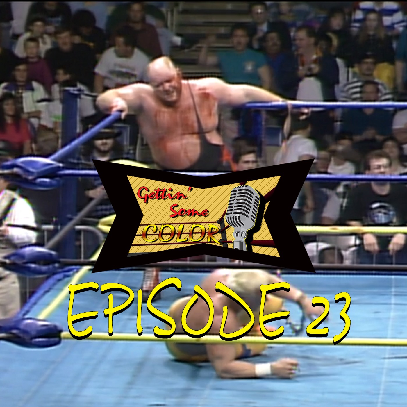 WCW Saturday Night Feb 20th 1993/Super Brawl 3(Gettin' Some Color Epi.23) episode artwork