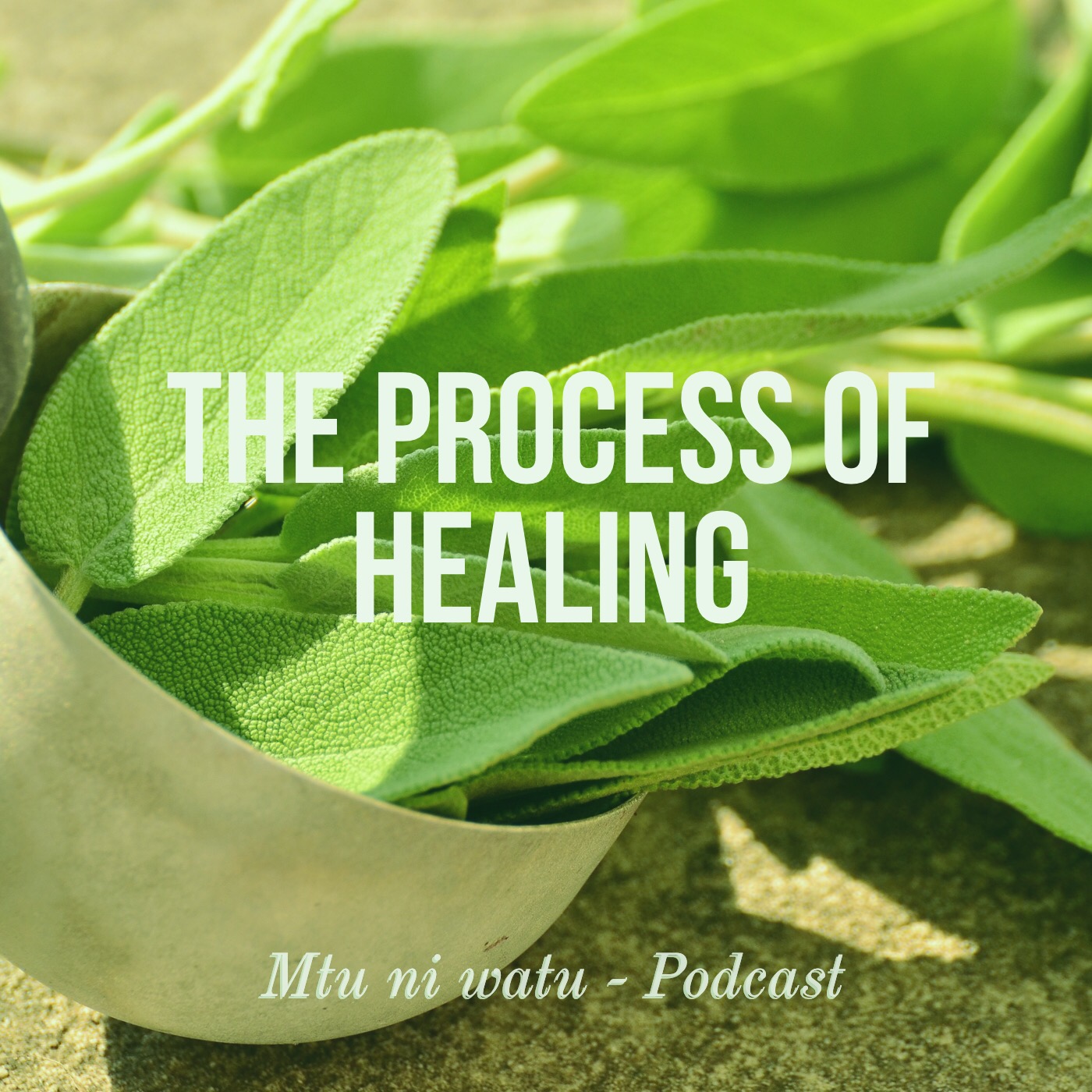 The Process of Healing (Part One) episode artwork