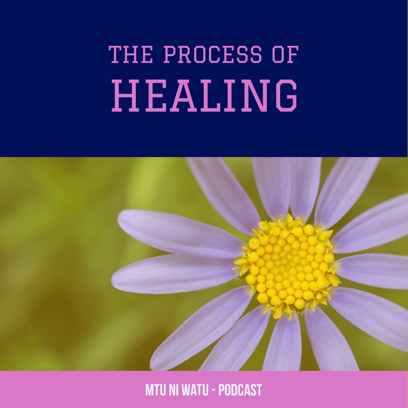 The Process of Healing (part two). episode artwork