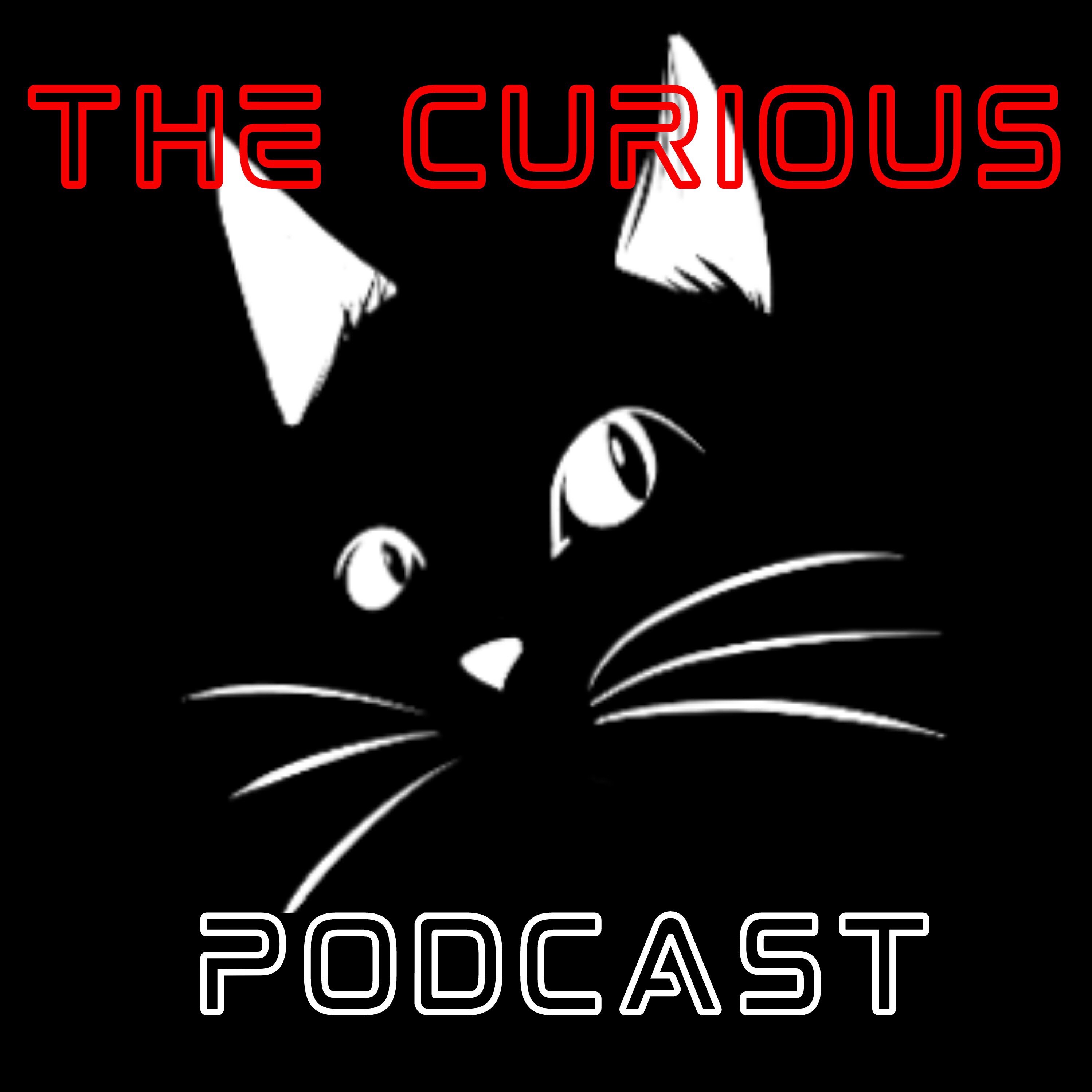 Stay Curious 03: The Curious Cats Questionable Quiz