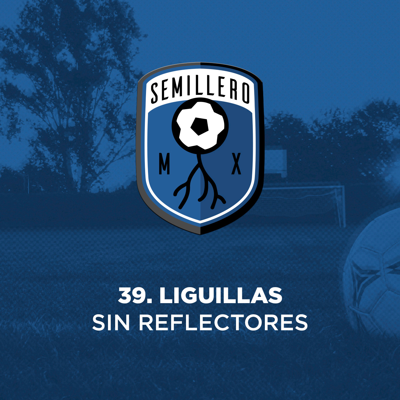 39. Liguillas Sin Reflectores episode artwork
