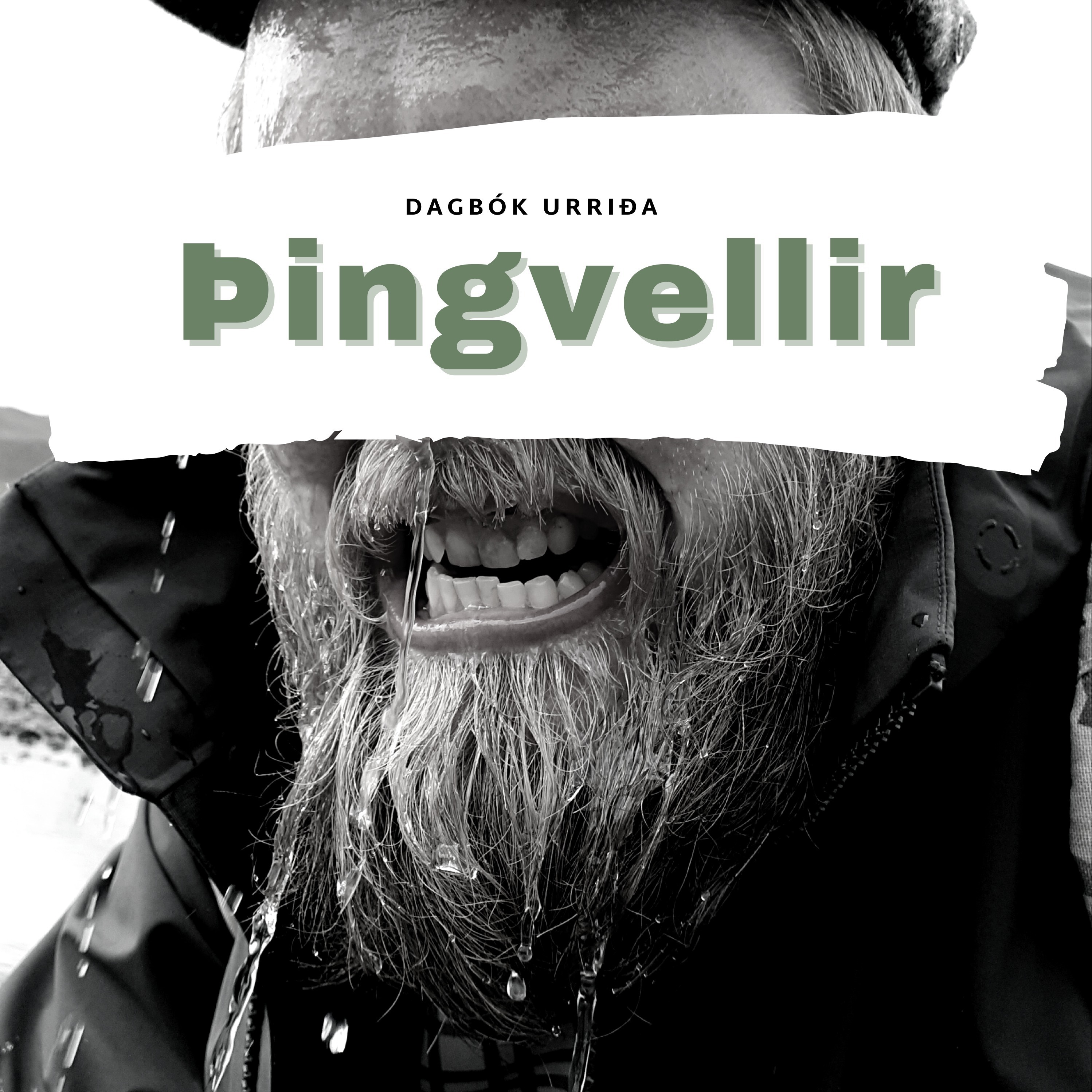Dagbók Urriða