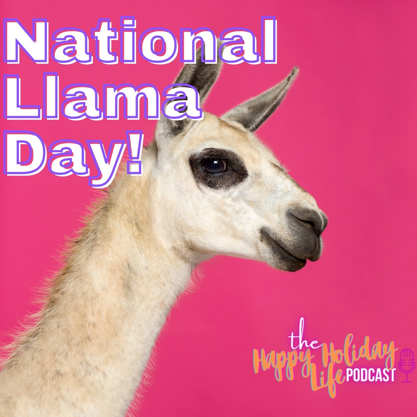 Episode #042 National Llama Day Image
