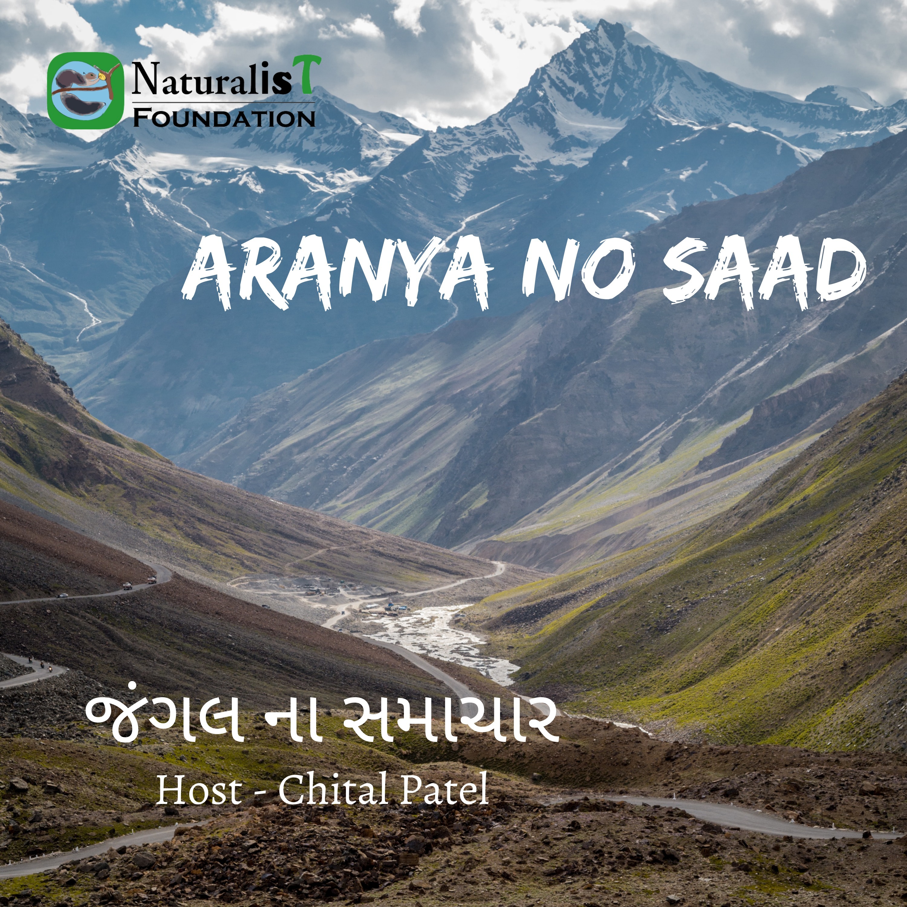 S1E19: જંગલ ના સમાચાર