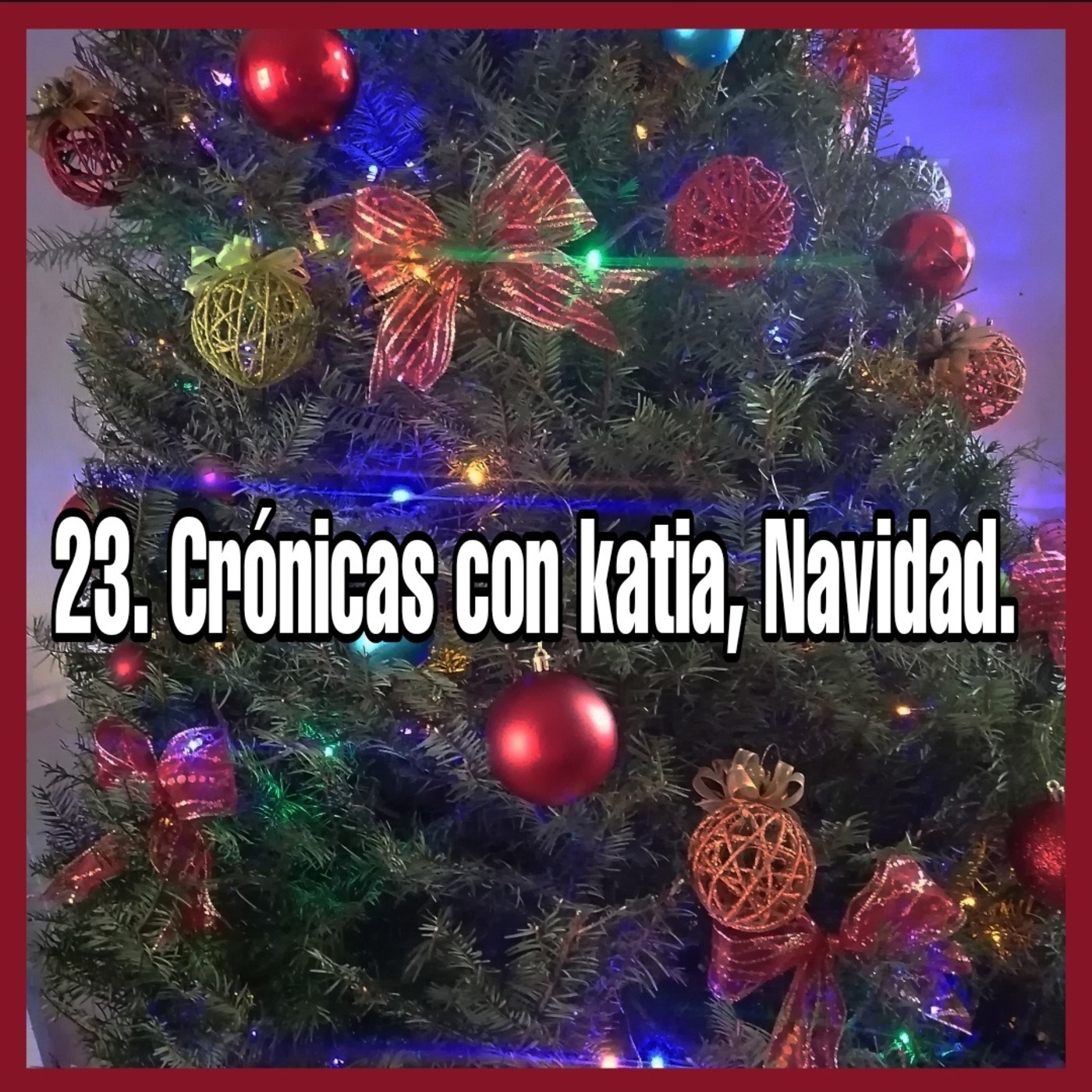 Crónicas de la memoria disidente