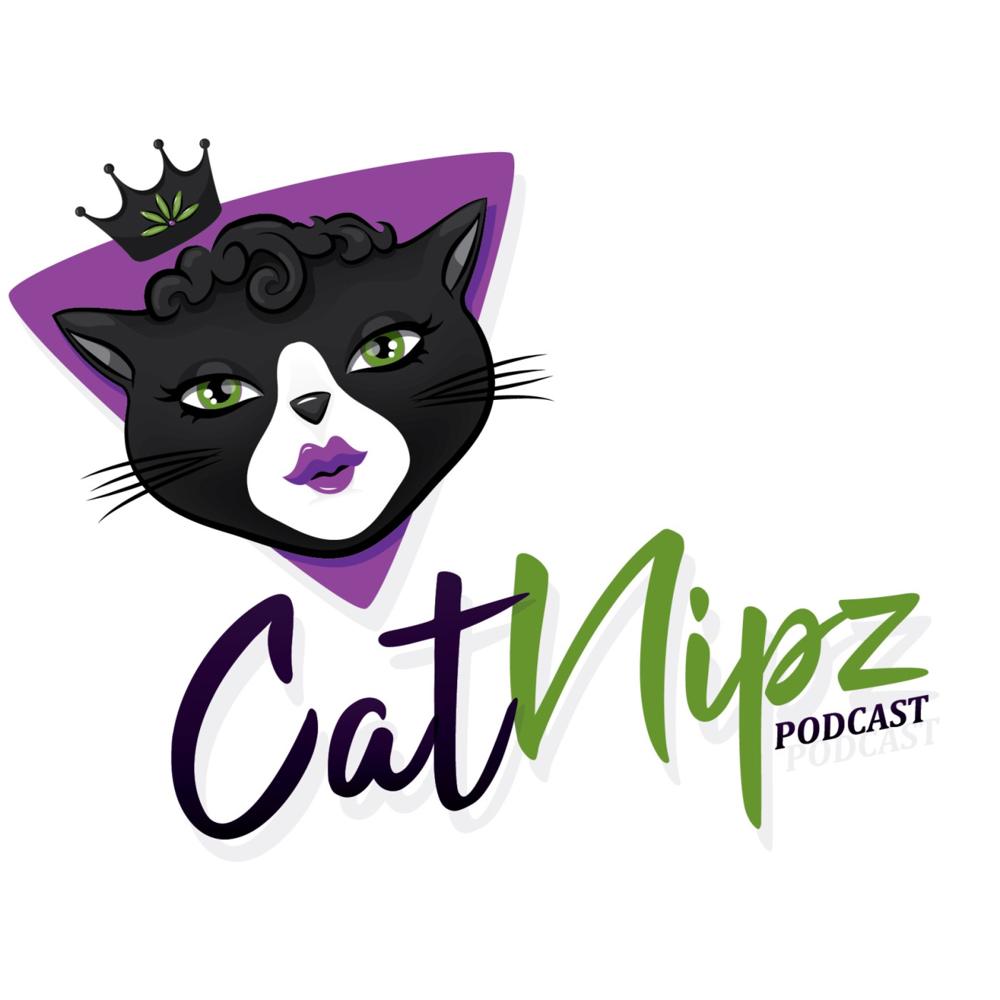 The Cat Nipz New Years Live Show episode artwork