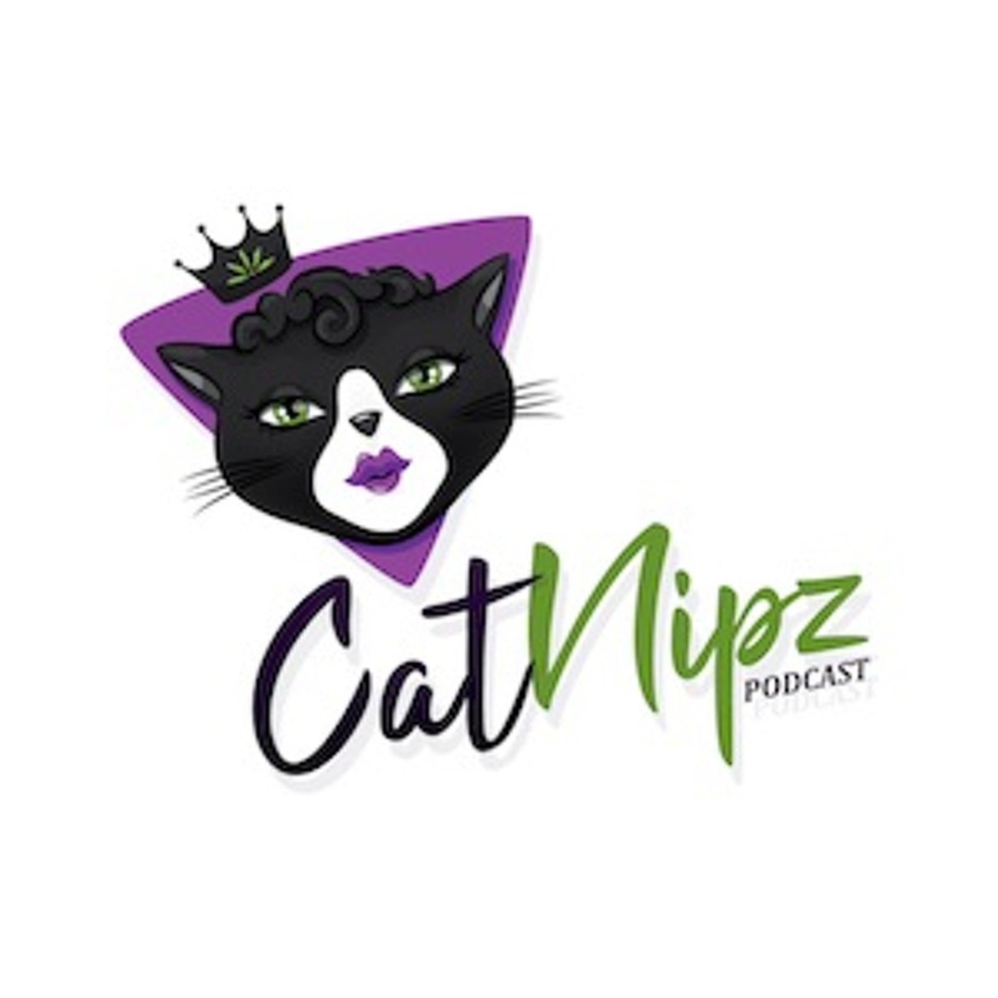 Middle Class Mad Catz episode artwork