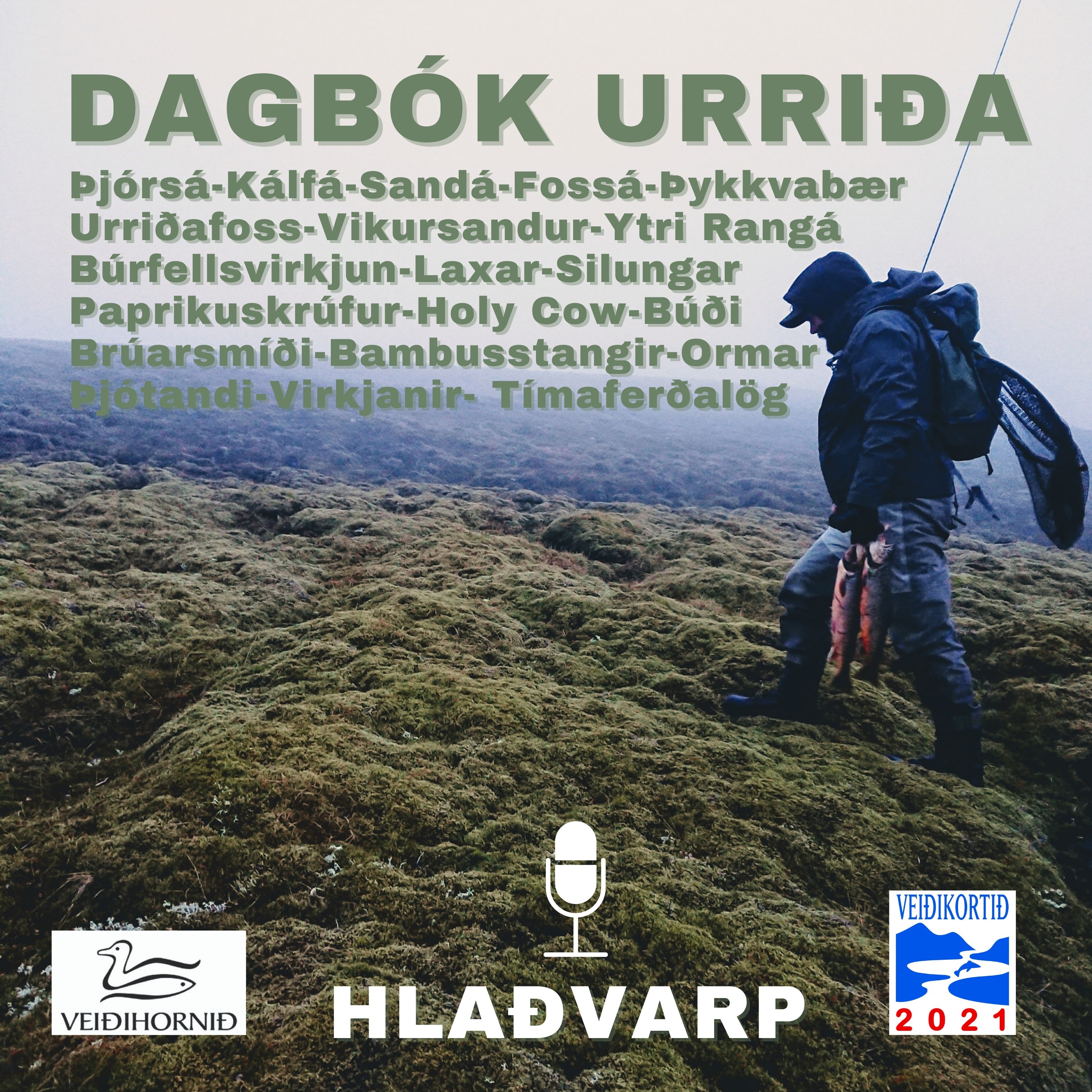 Dagbók Urriða