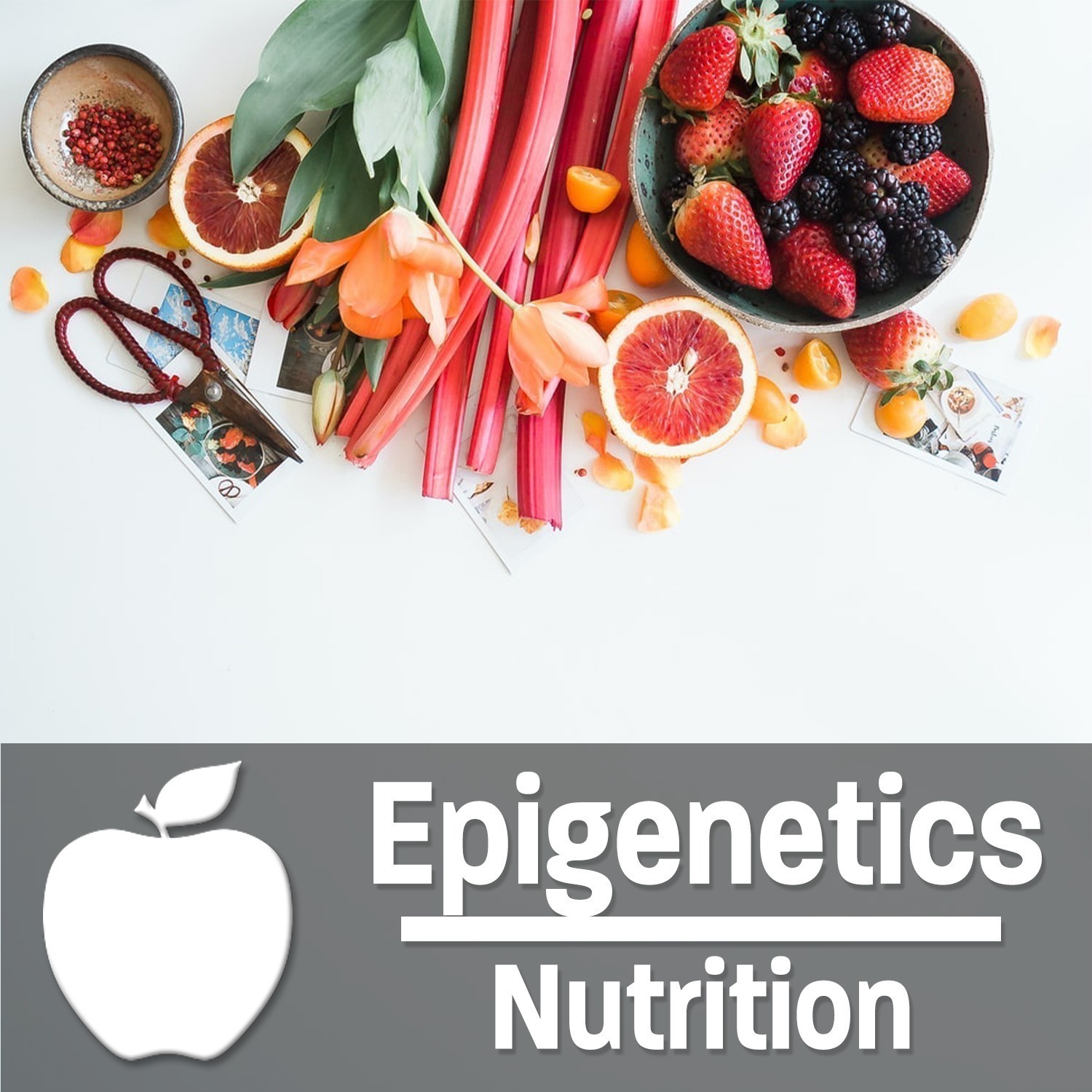 #8 - Epigenetics - Nutrition - With Richard Hamilton