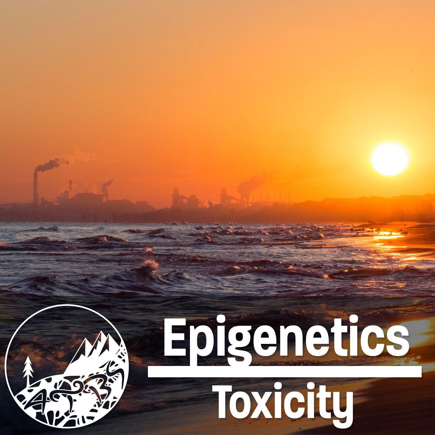 #23 - ATBS - Epigenetics Toxicity - With Richard Hamilton