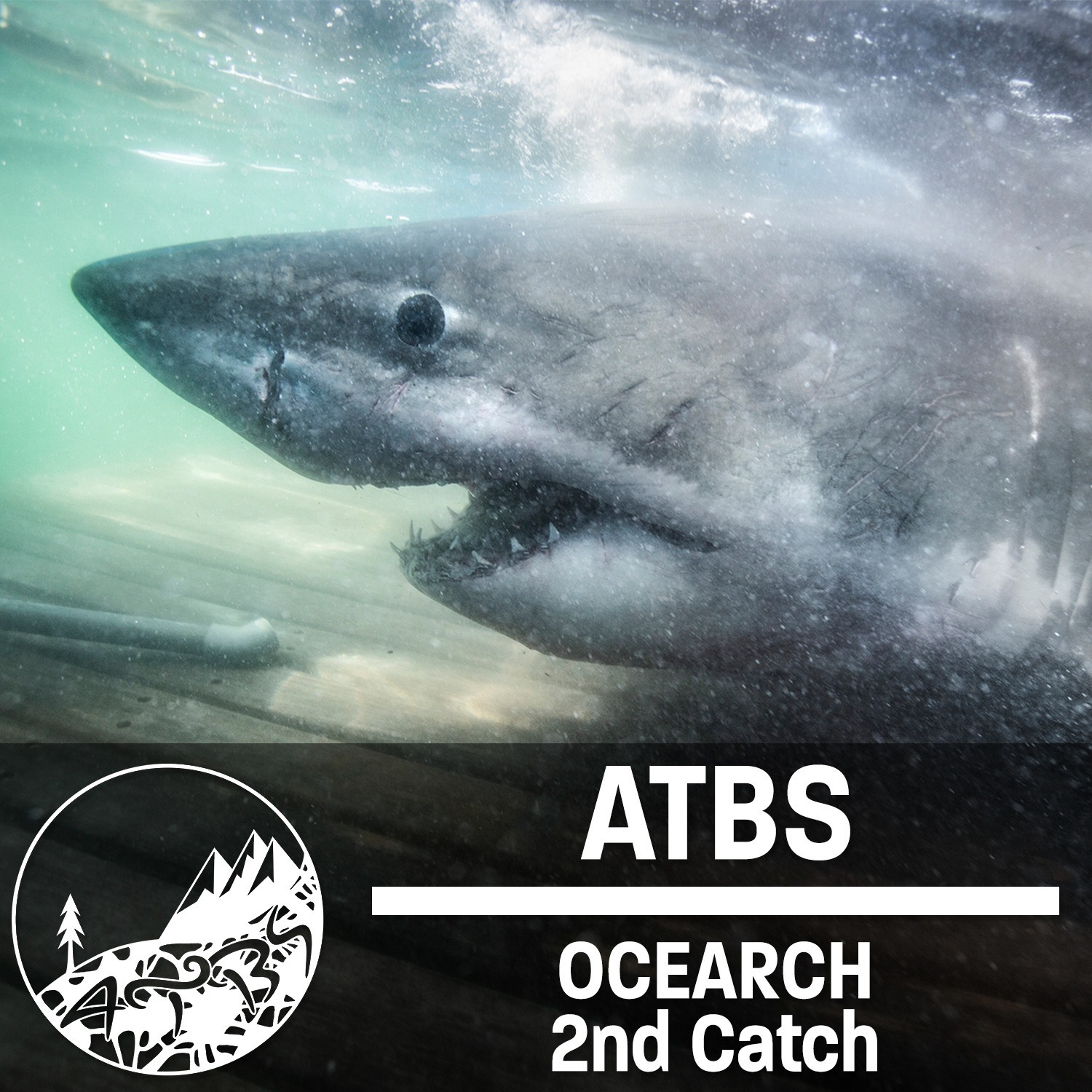#27 - ATBS - OCEARCH 2nd Catch - With Chris Fischer