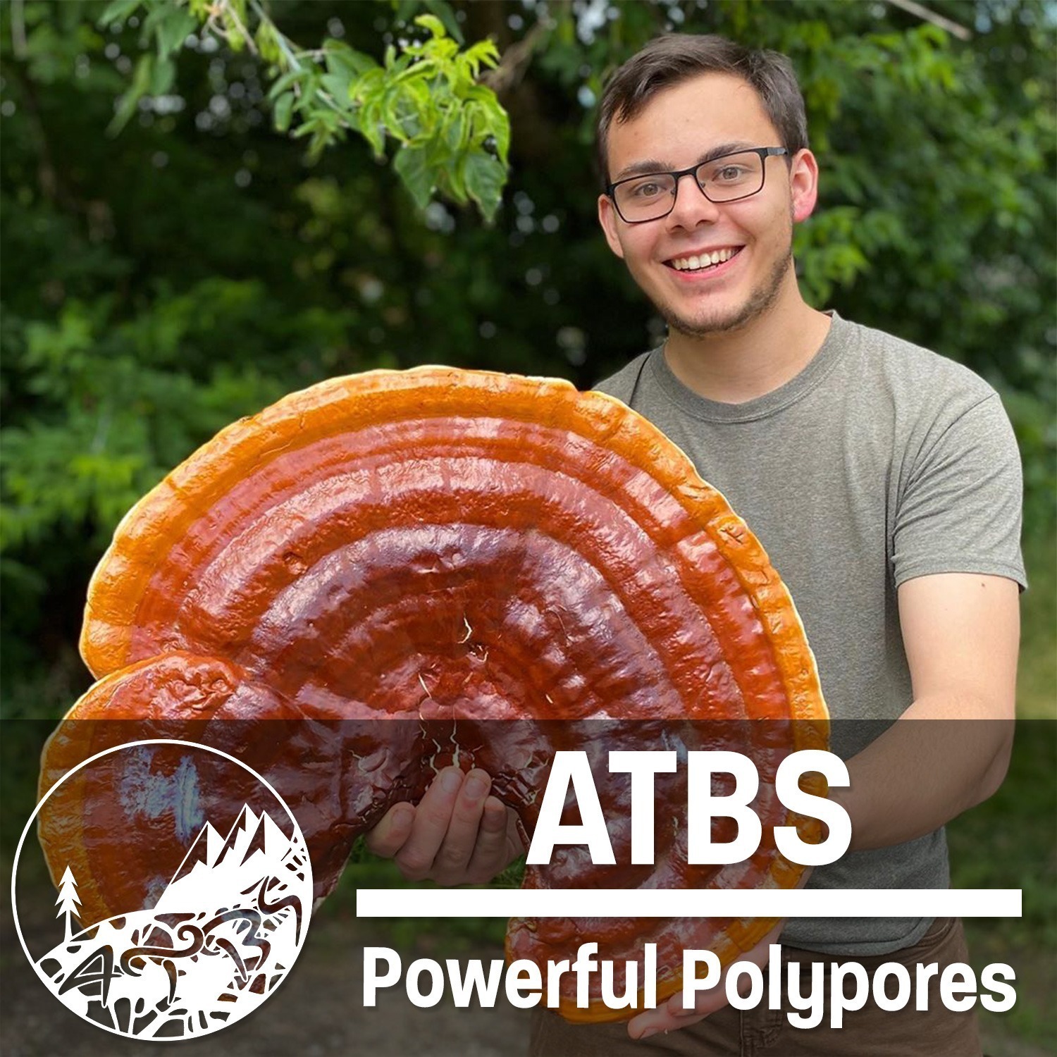 #14 - ATBS - Powerful Polypores - The Origins of Ancient Medicine