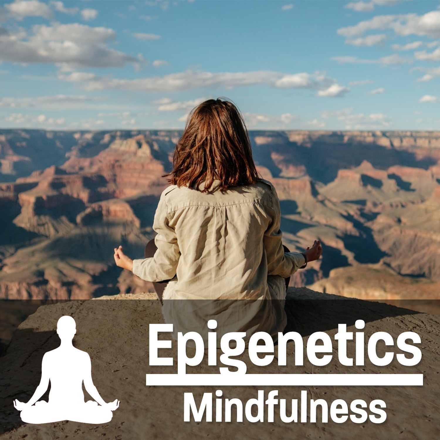 #10 - Epigenetics - Mindfulness