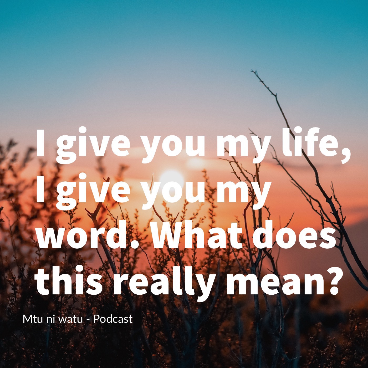 I give you my life episode artwork