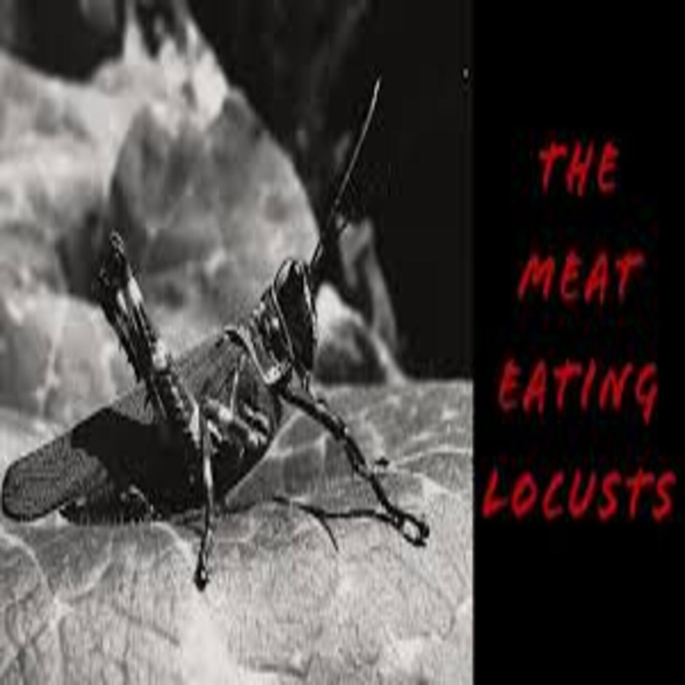The Meat Locusts Part 01 episode artwork