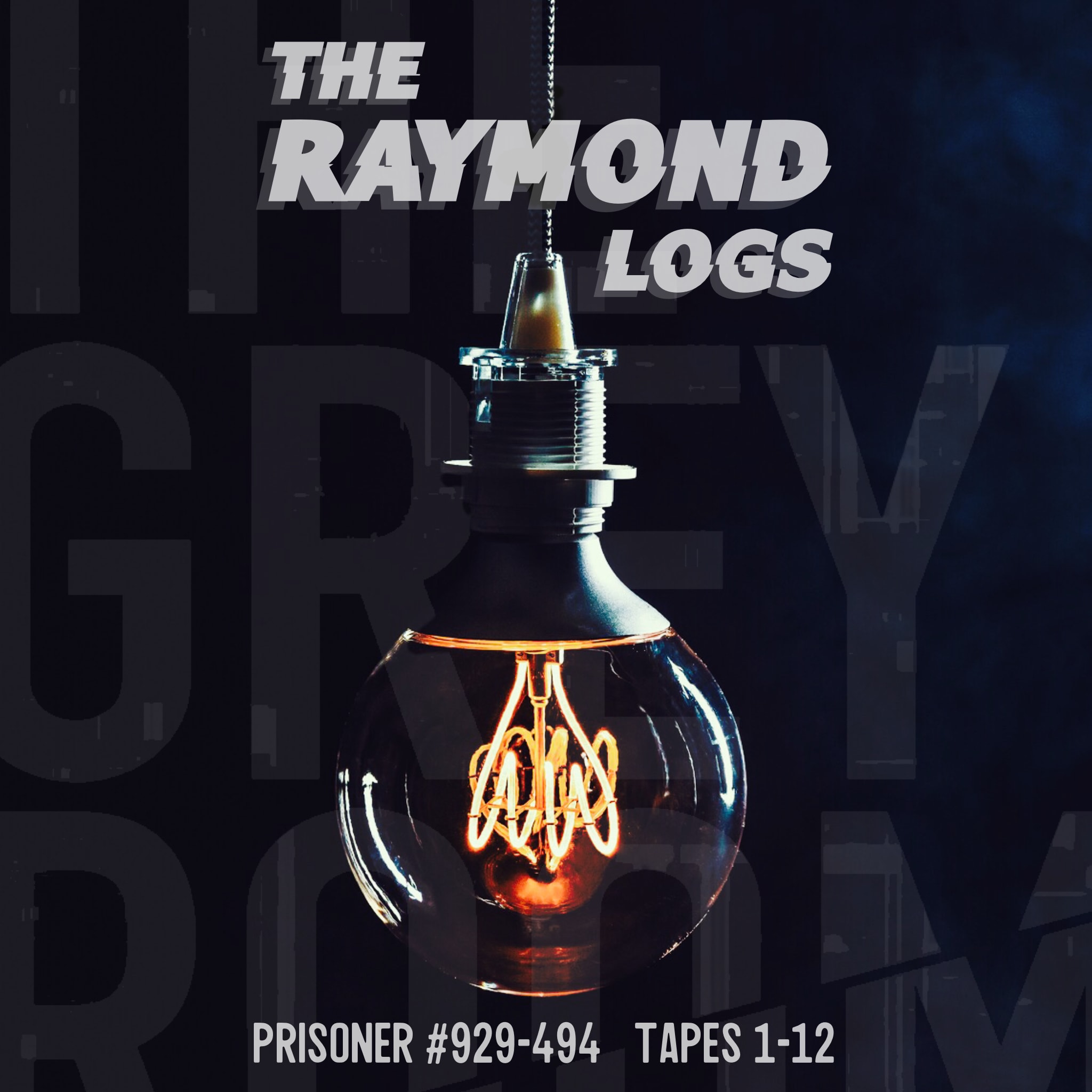 S1 - The Raymond Logs (Tapes 1-12) episode artwork