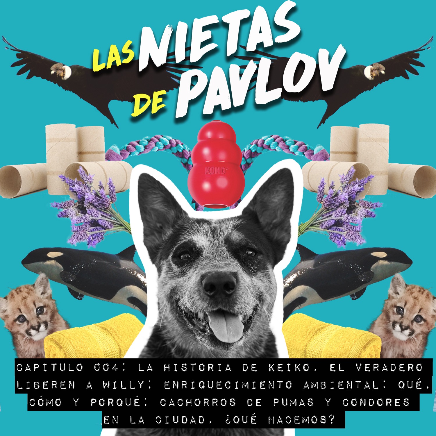 Las Nietas de Pavlov