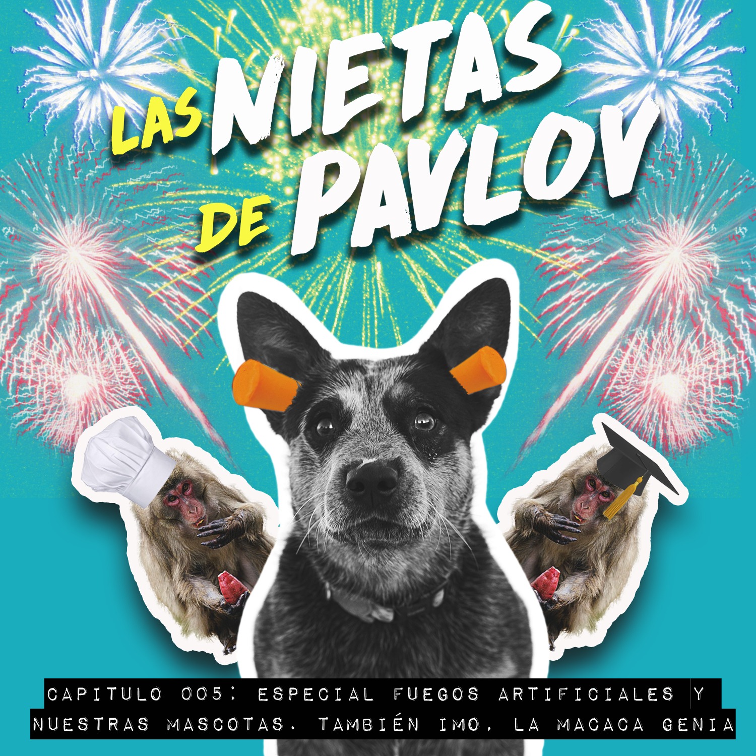 Las Nietas de Pavlov