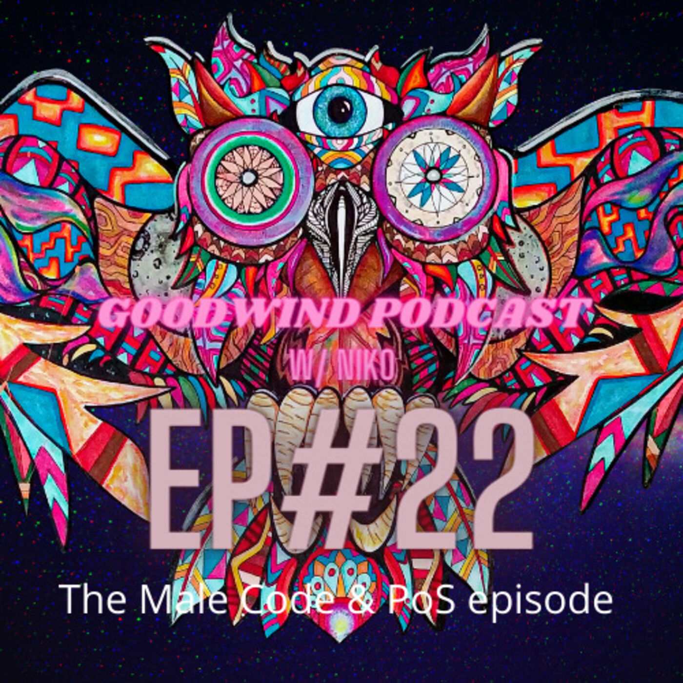 Goodwind Podcast w/ Niko LaPelusa