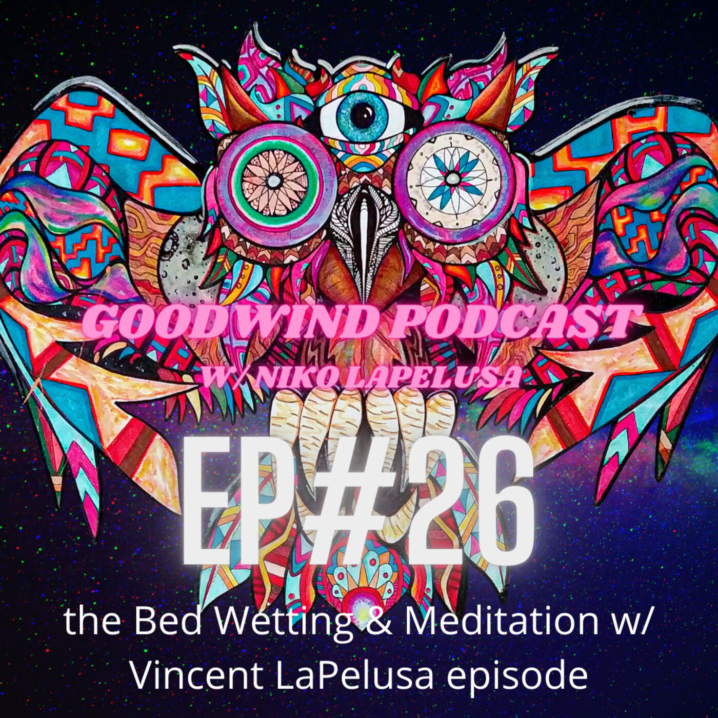 Goodwind Podcast w/ Niko LaPelusa