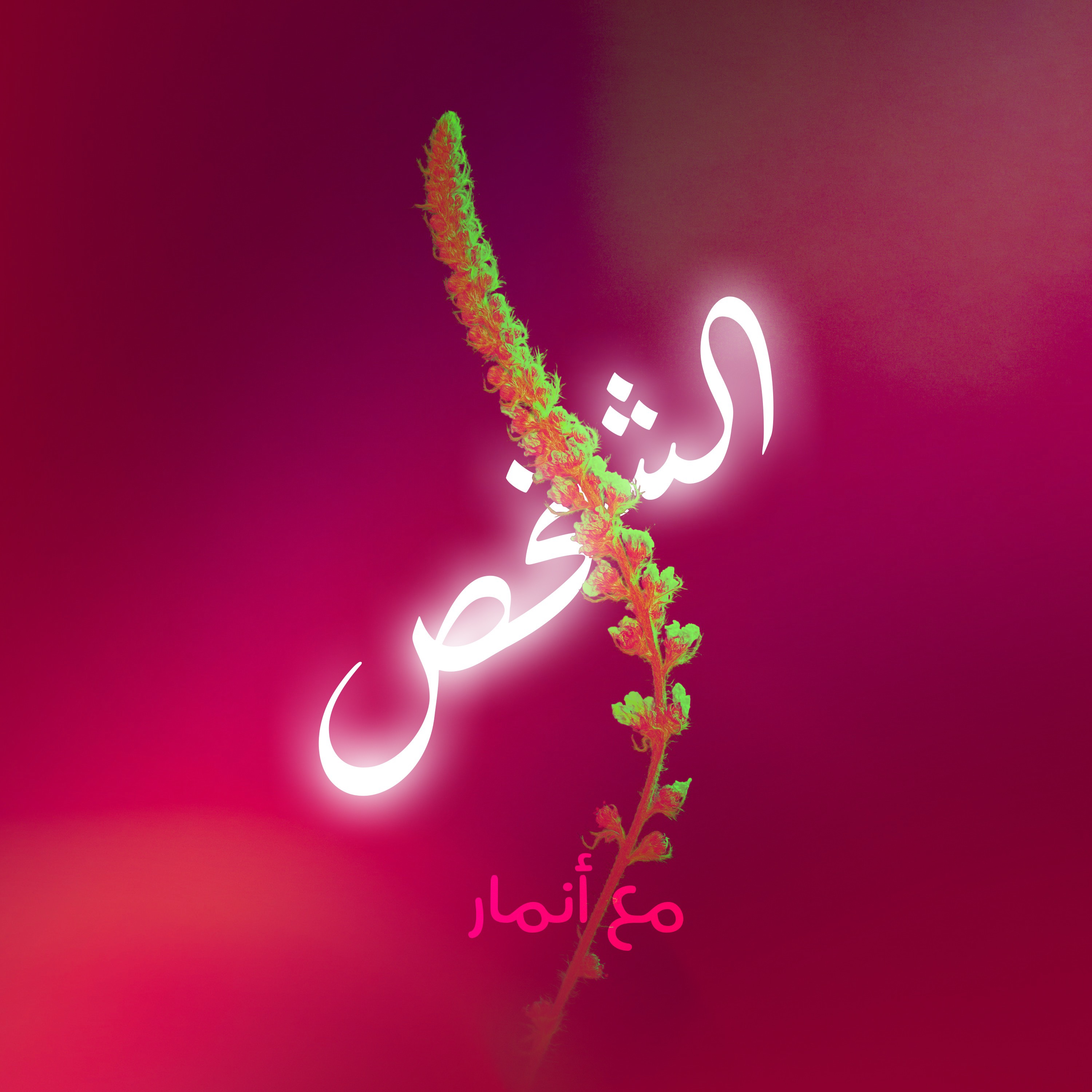 Audio Player Image