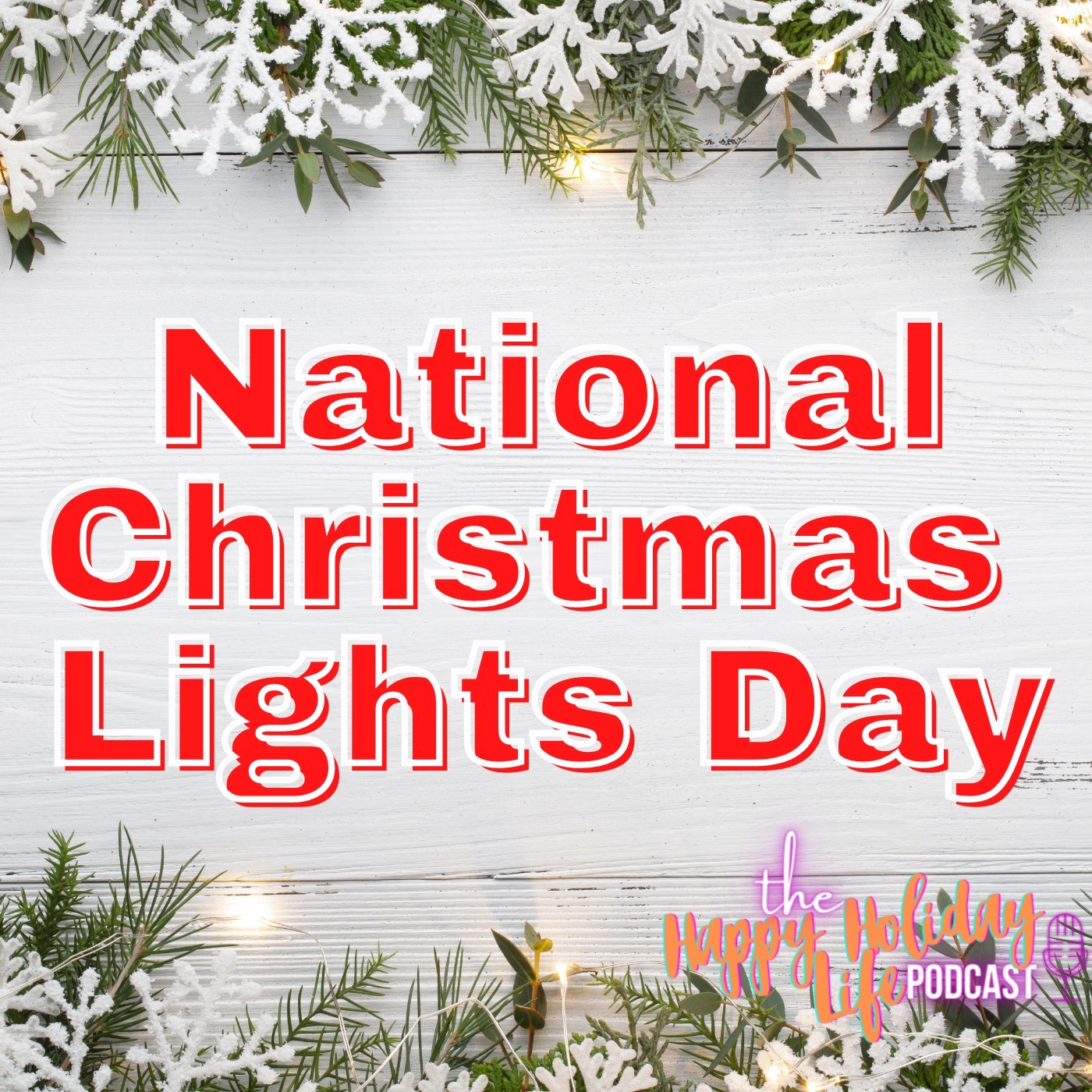 Episode #028 National Christmas Lights Day Image