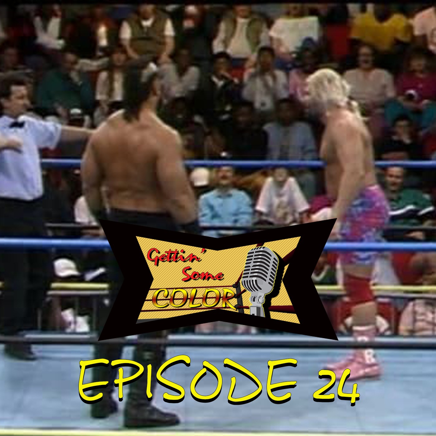 WWF RAW Feb 22nd 1993/WCW Saturday Feb 27th 1993 (Gettin' Some Color Epi.24) episode artwork