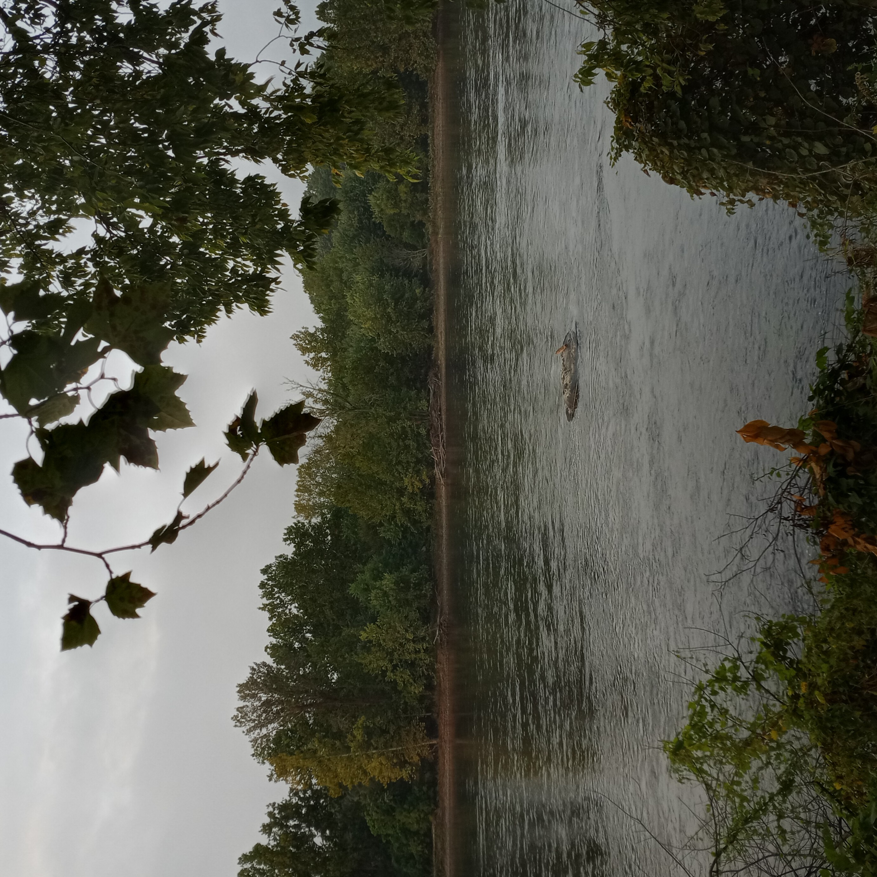 stream of random
