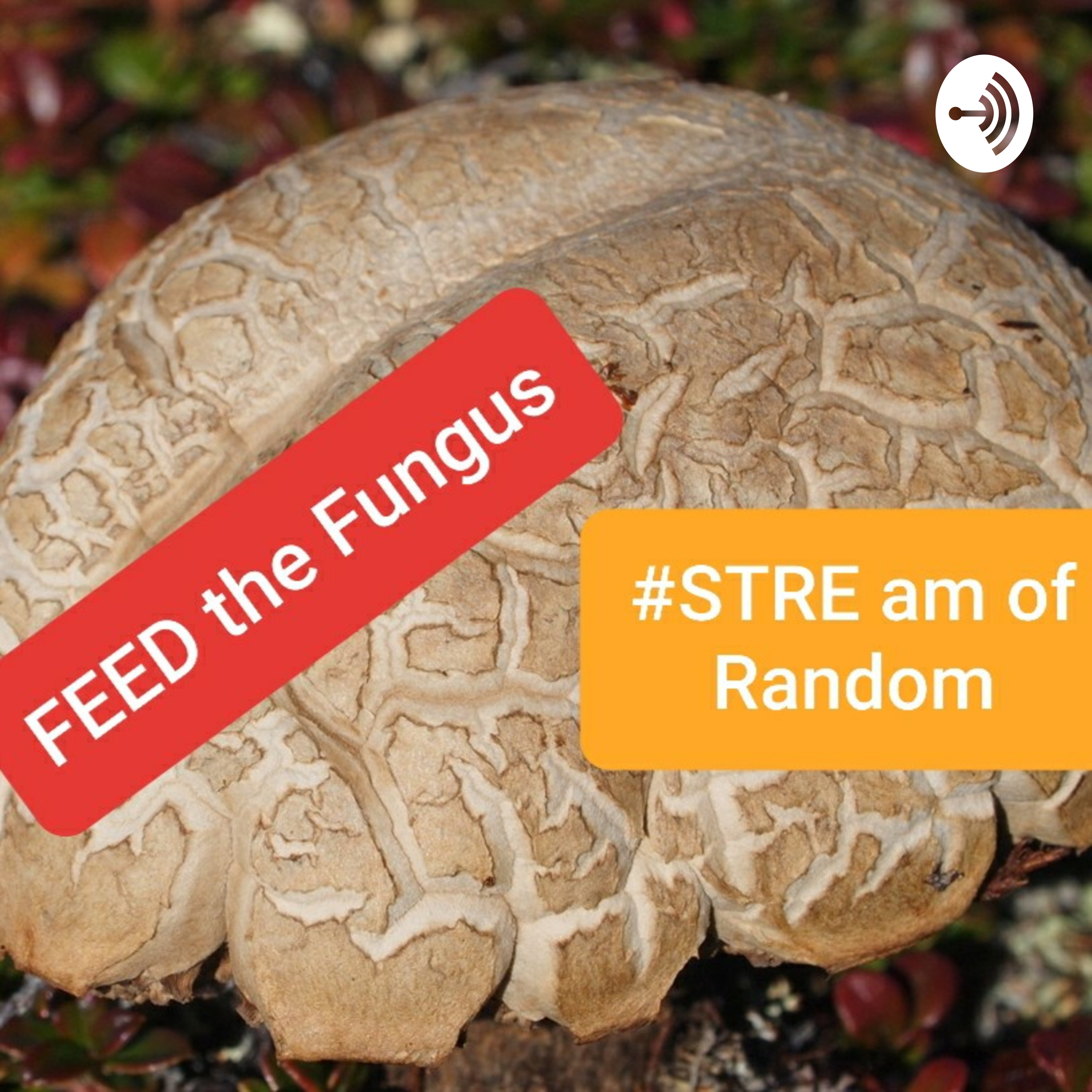 stream of random